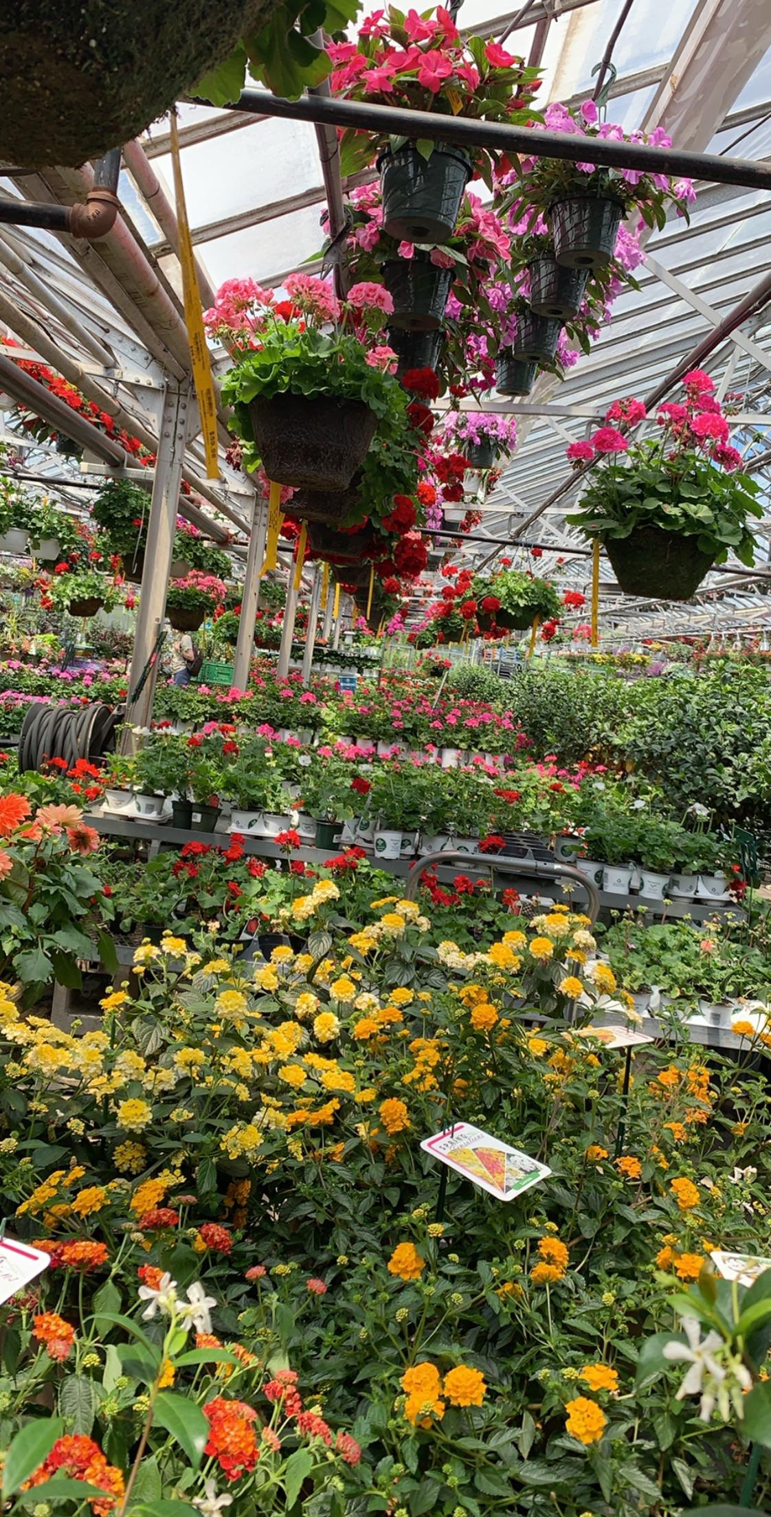 My local garden center is heaven. r/gardening