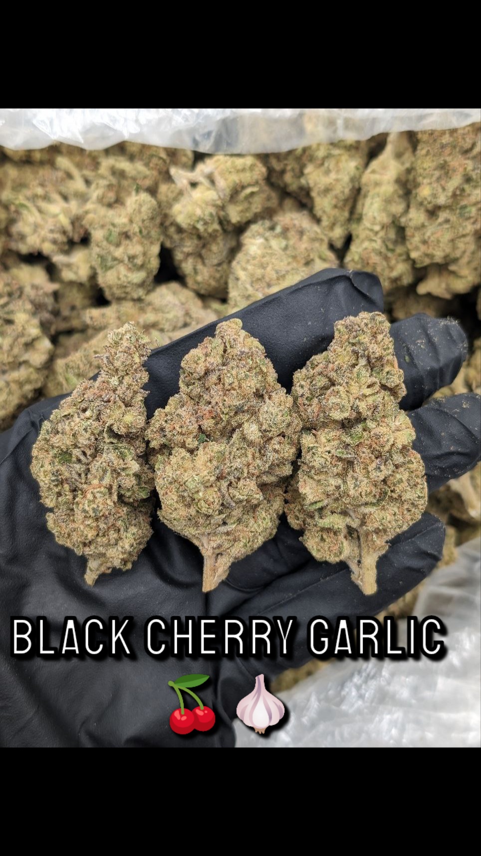 Black Cherry Garlic r/DFWEnts