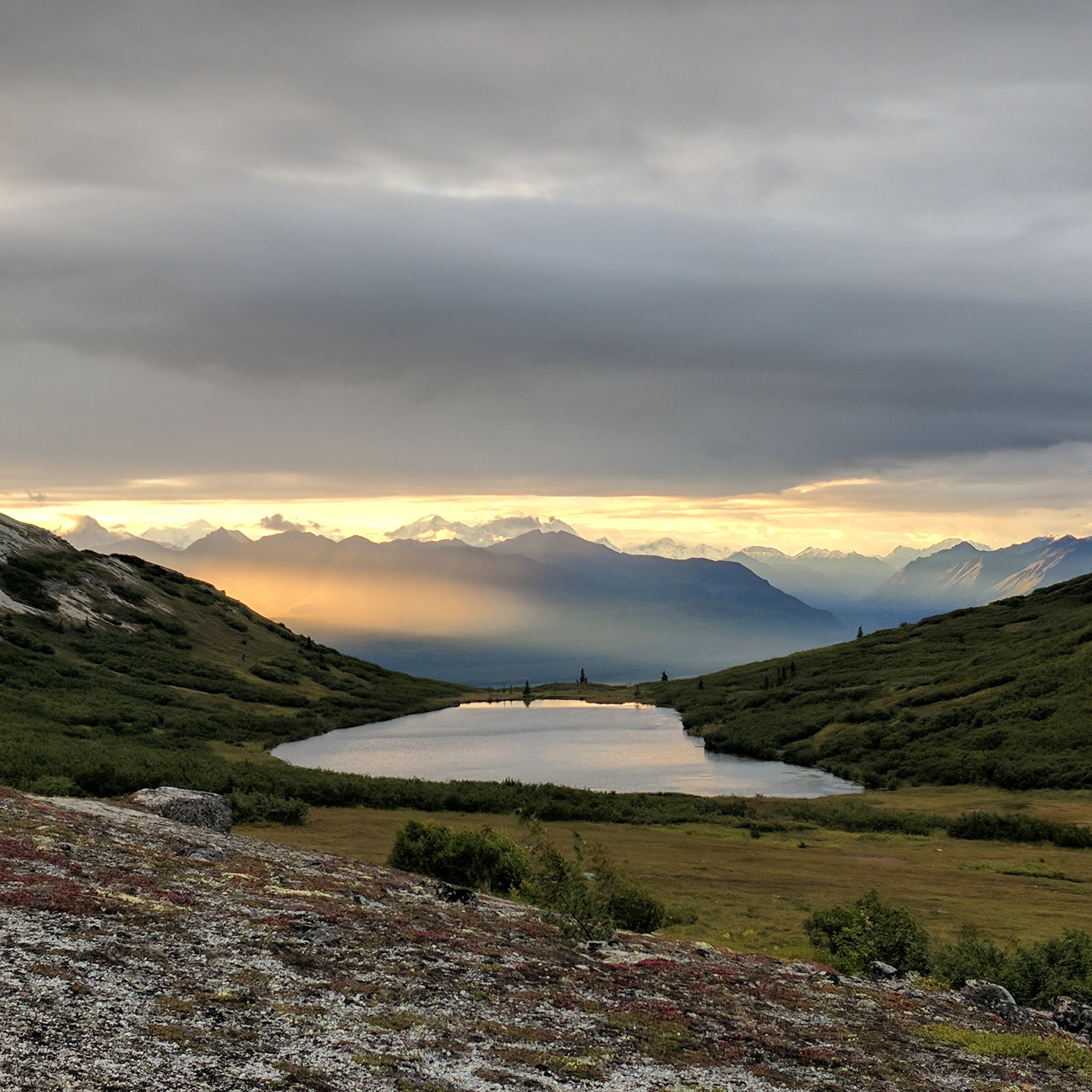 Kesugi Ridge Trail, Denali State Park r/alaska