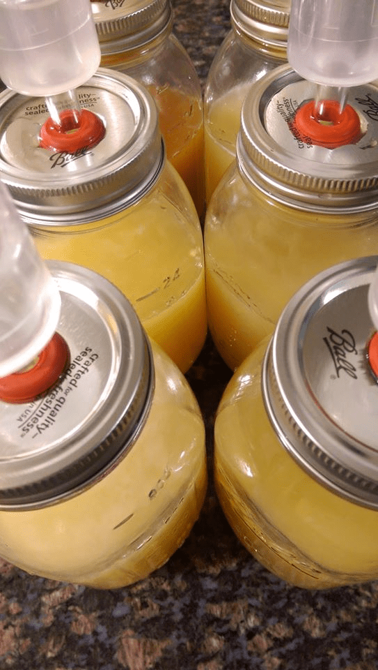 Mason Jar Mead! PicoBrew r/mead