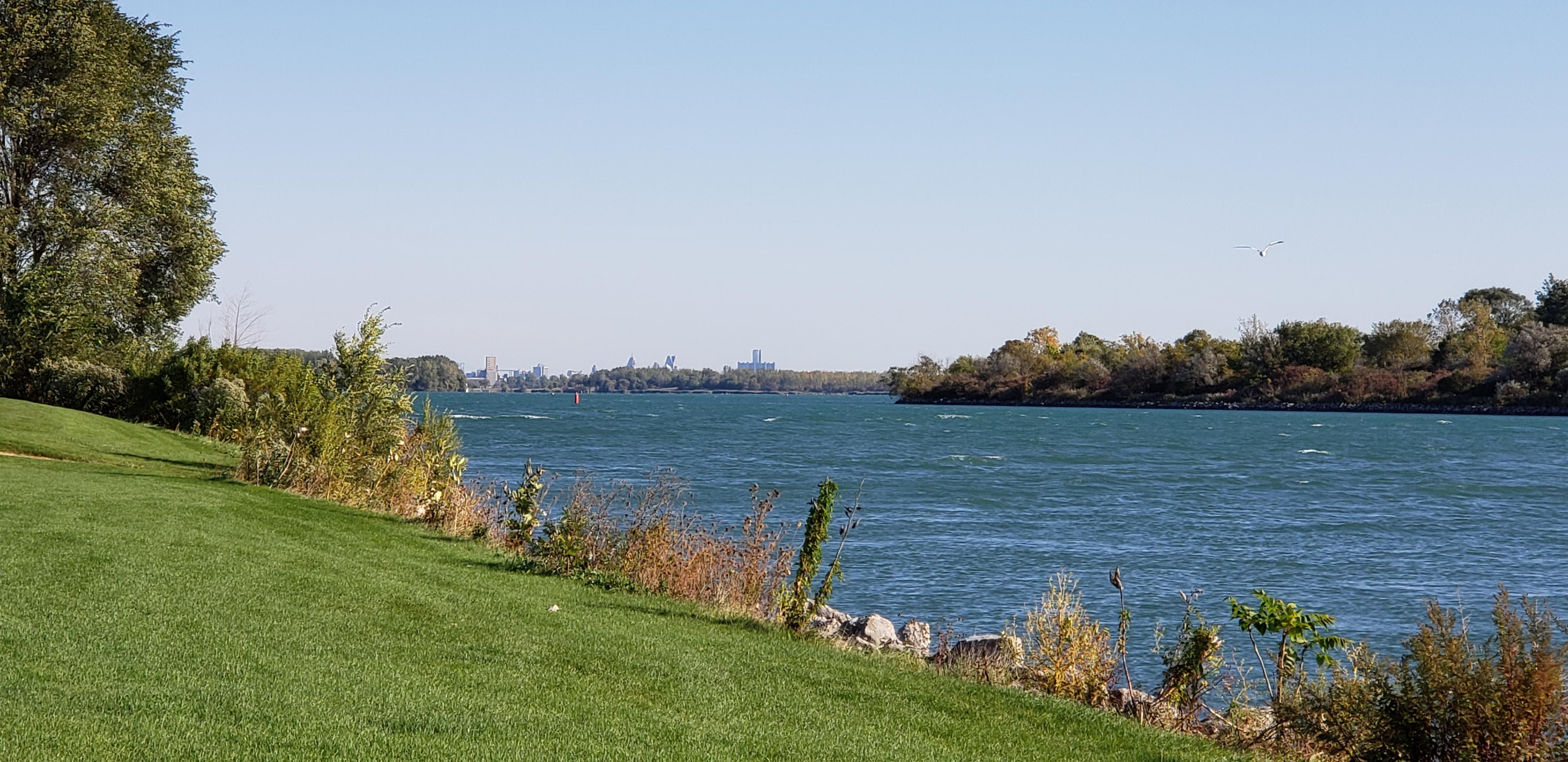 Detroit Skyline from Wyandotte r/Michigan