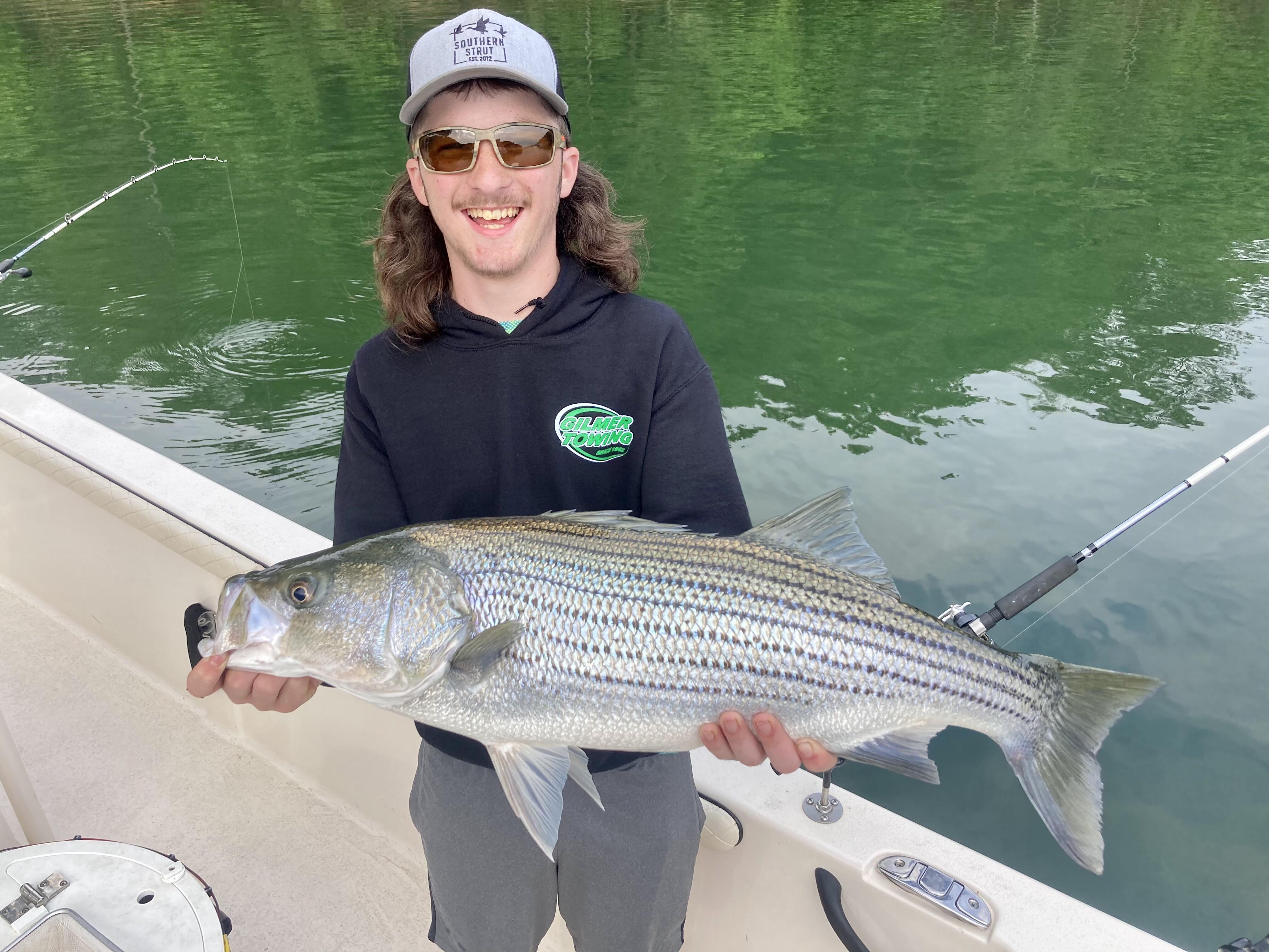 North Striper r/Fishing