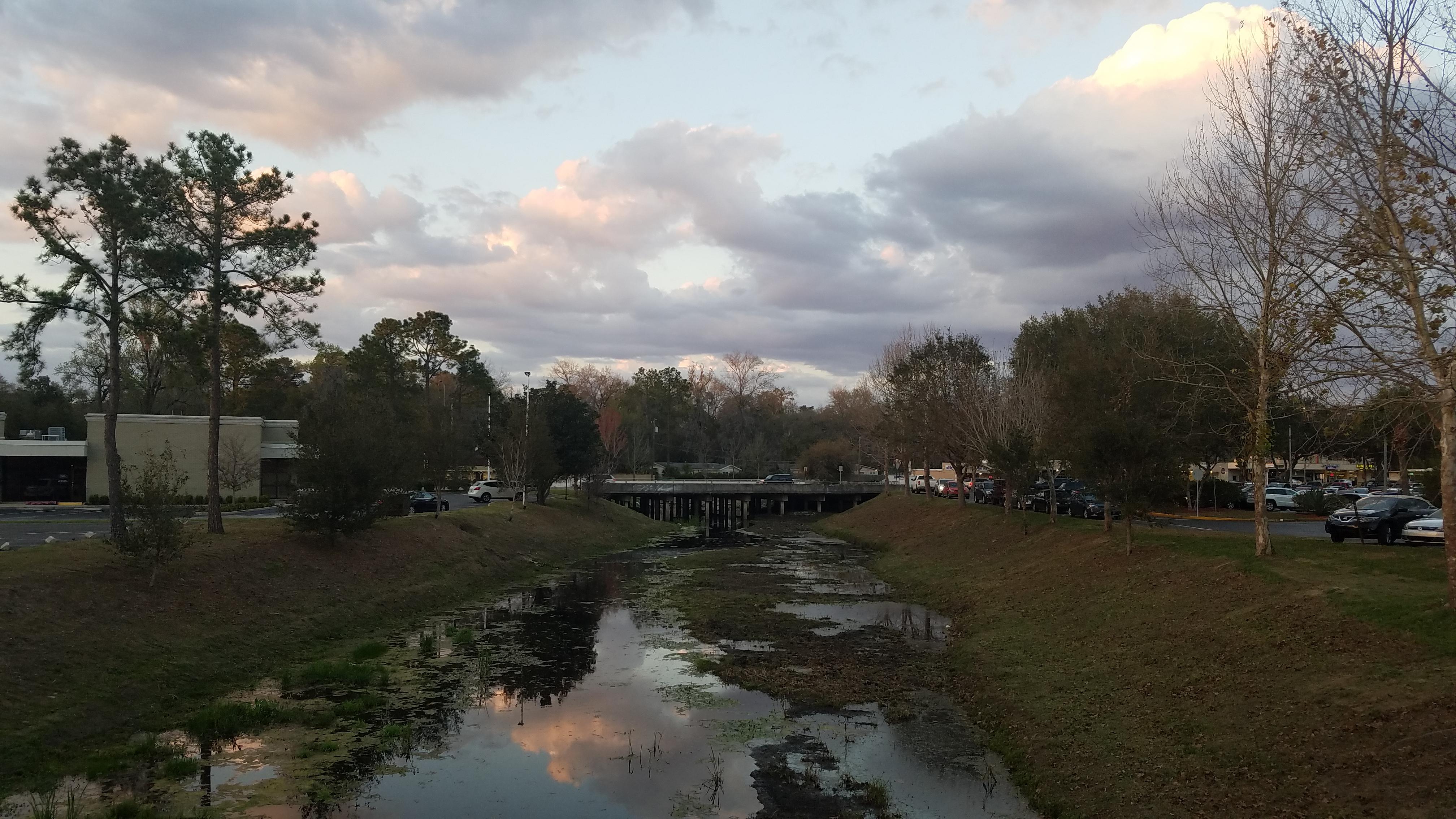 Hogtown Creek, Gainesville FL [4032x2268] [OC] r/waterporn