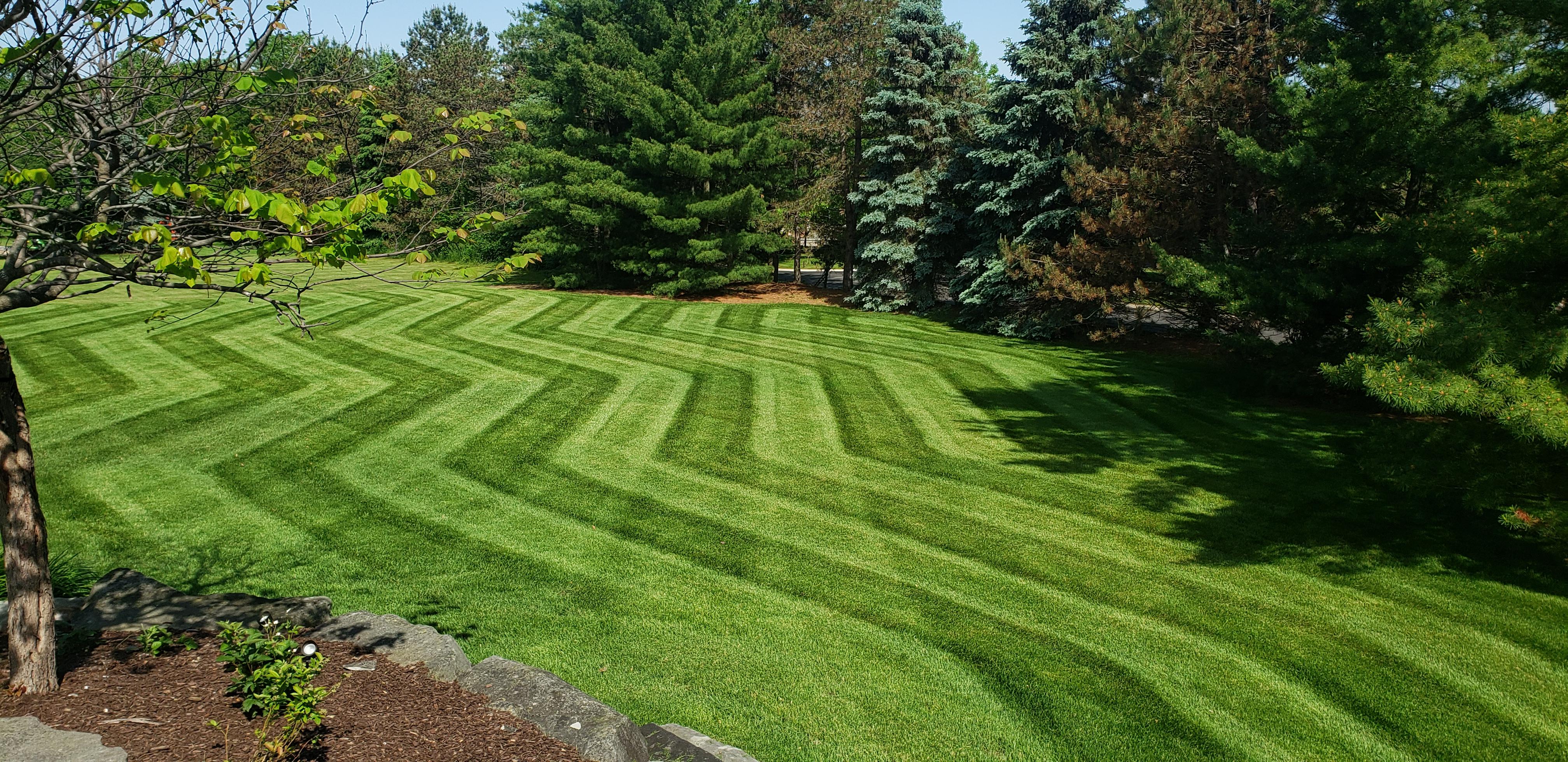 Some zigzag stripes I put down at a customers house. r/Grass