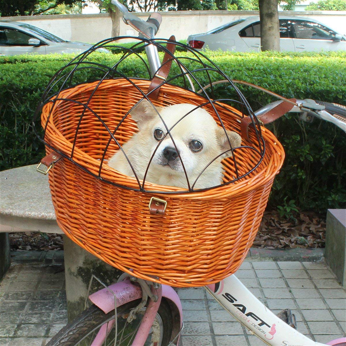 PsBattle Dog in a basket