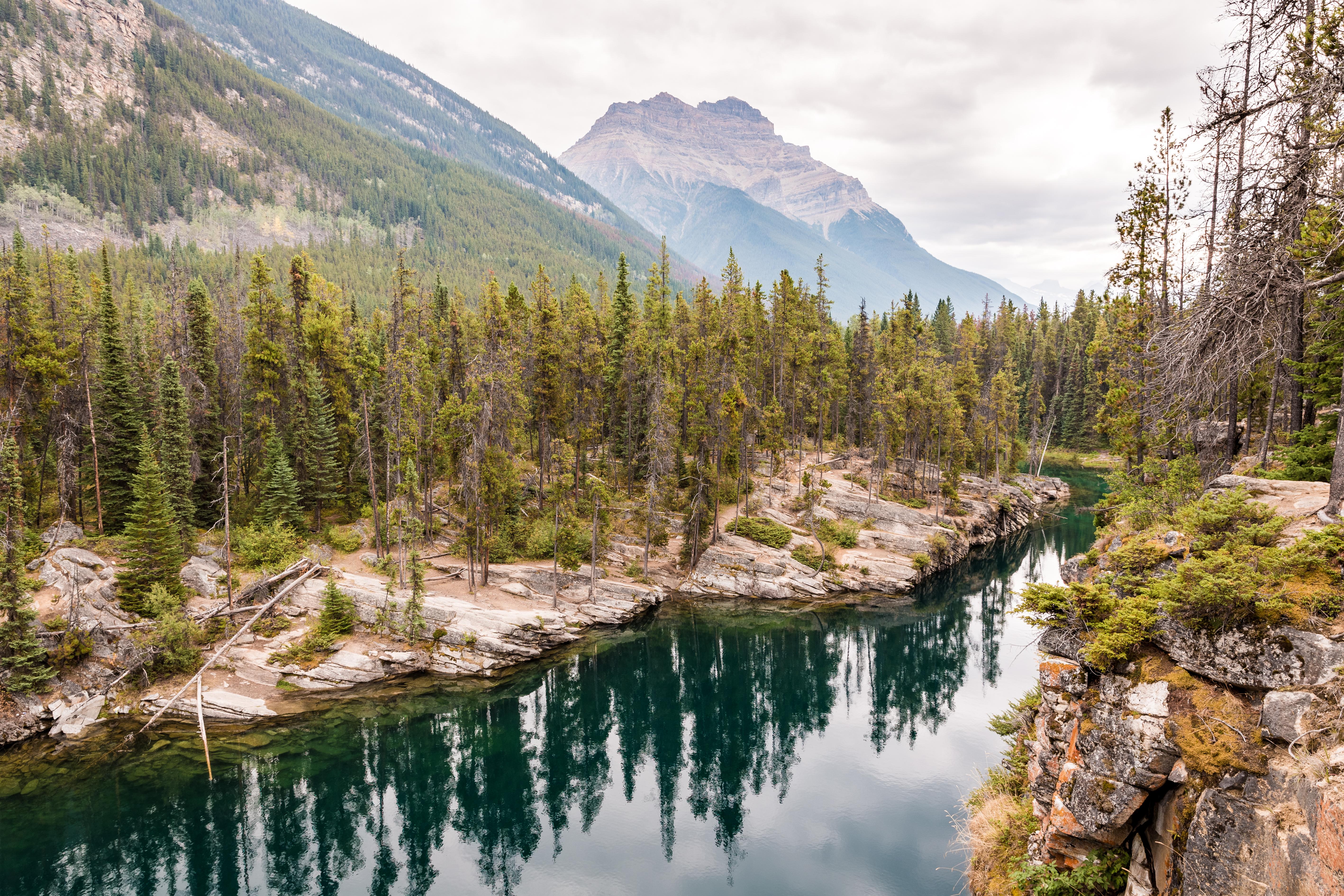 Horseshoe lake, in Jasper national park AB. [OC][5672x3781] r/EarthPorn