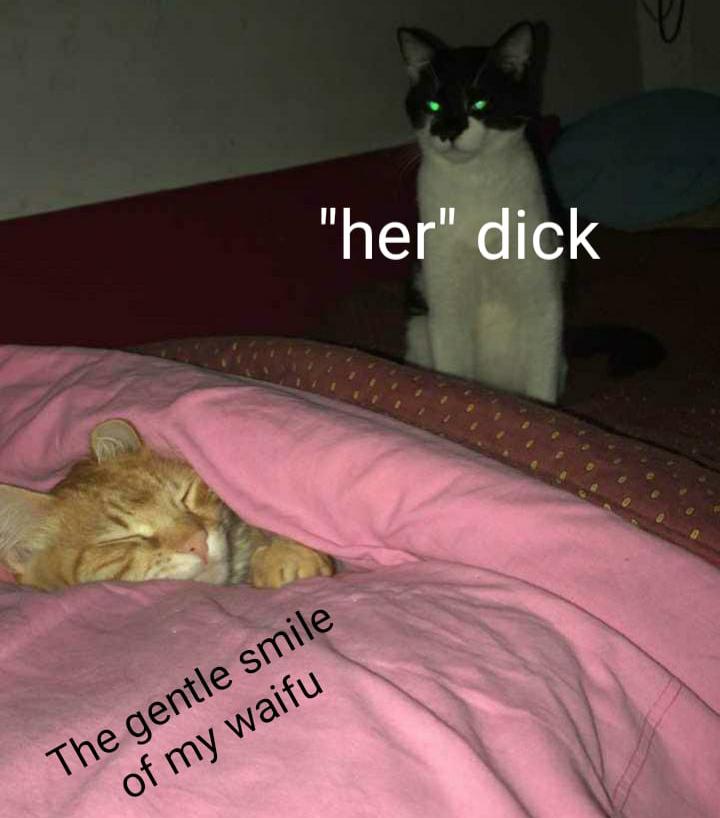 HOLY FISH PASTE, IT'S A GUY r/goodanimemes