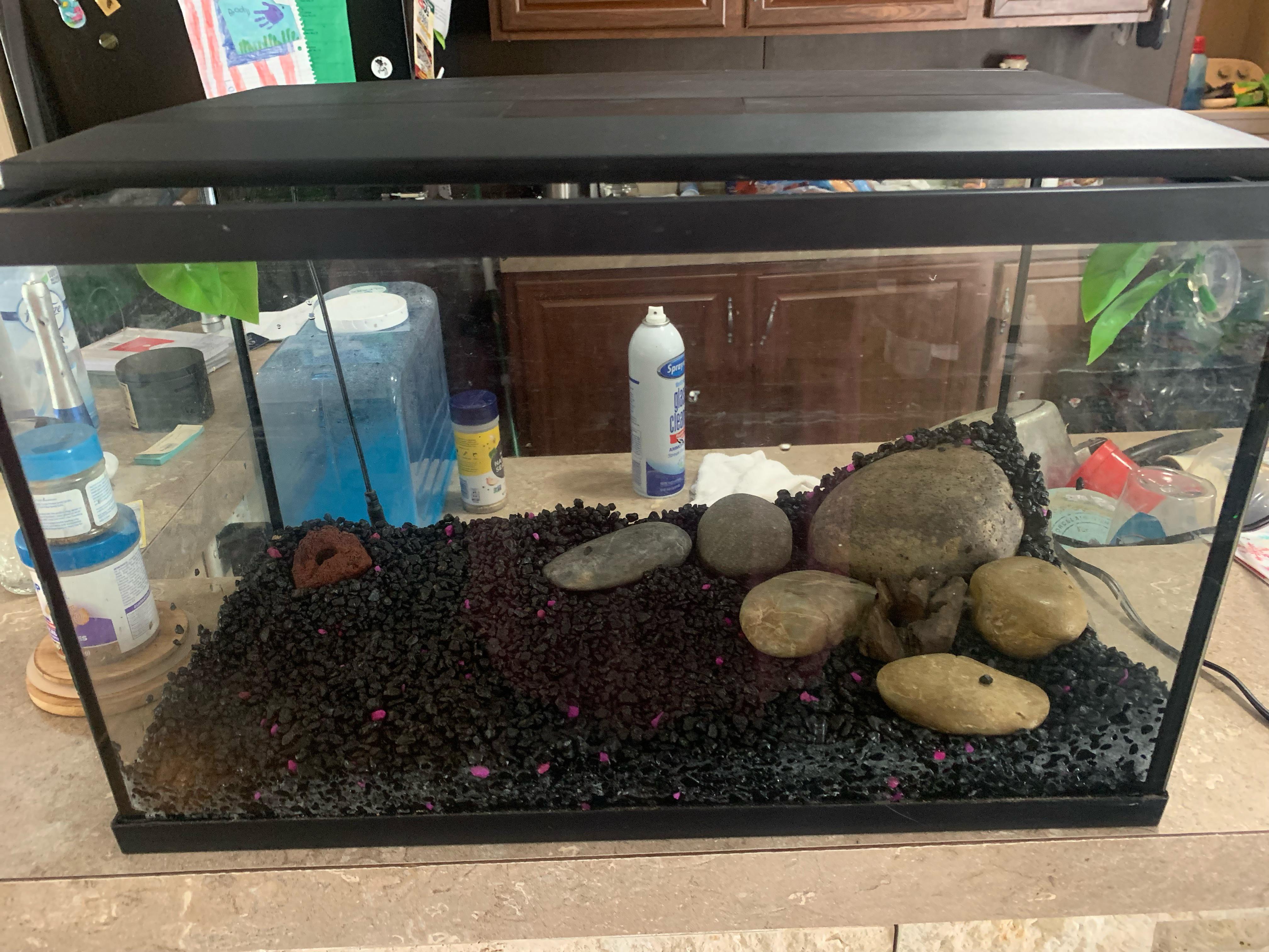 Live plants for a 10 gallon tank? r/Aquariums
