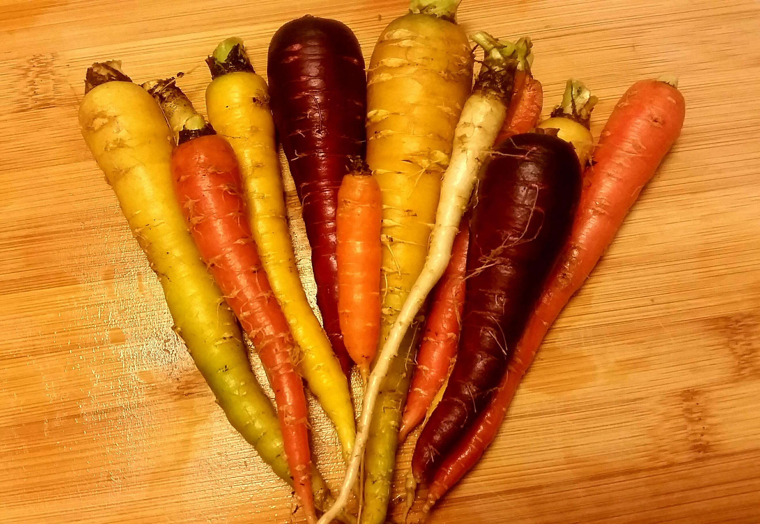 Kaleidoscope Carrots r/gardening