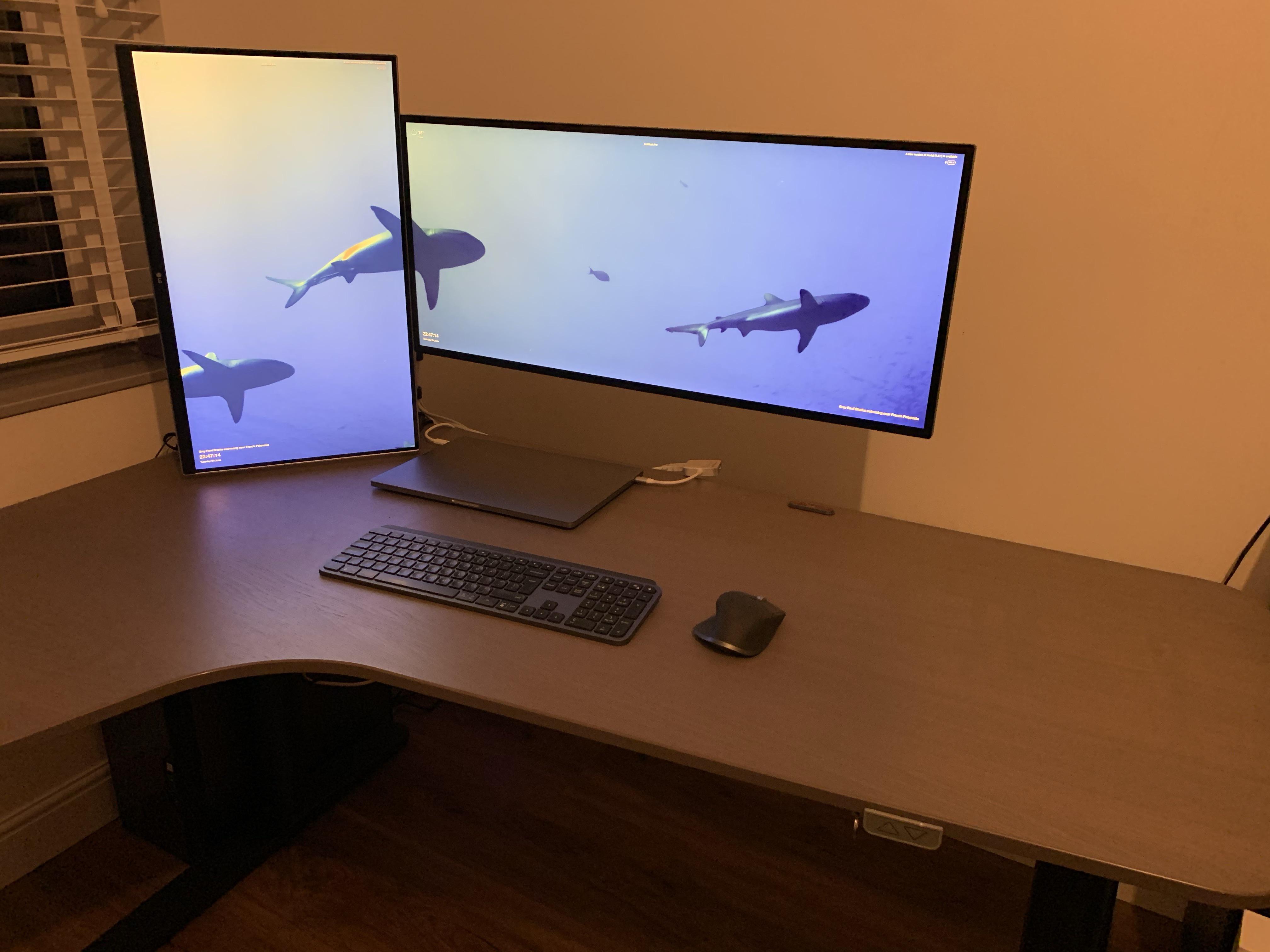 Got my dual arm monitor stand delivered yesterday. This is my setup LG