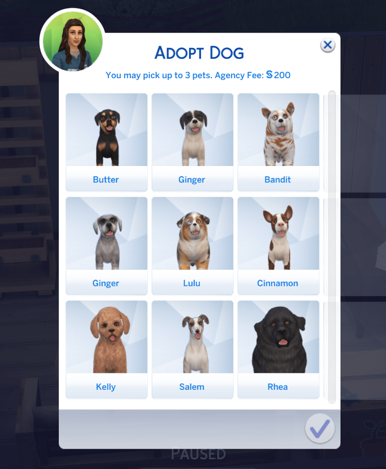 I can never choose just one dog to adopt 😭 look at them r/thesims