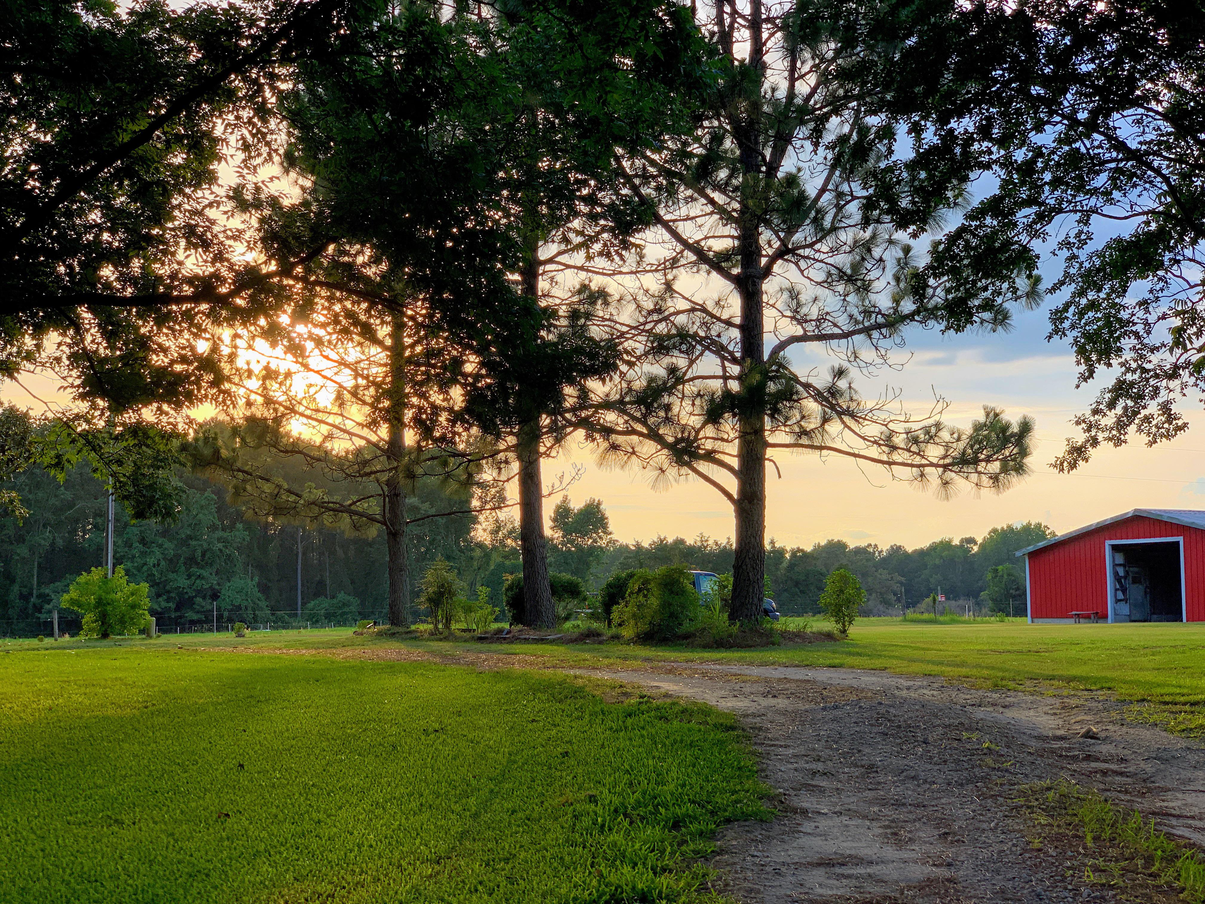 Sunset on our farm in Pink Hill, NC this evening. Sleep tight! r