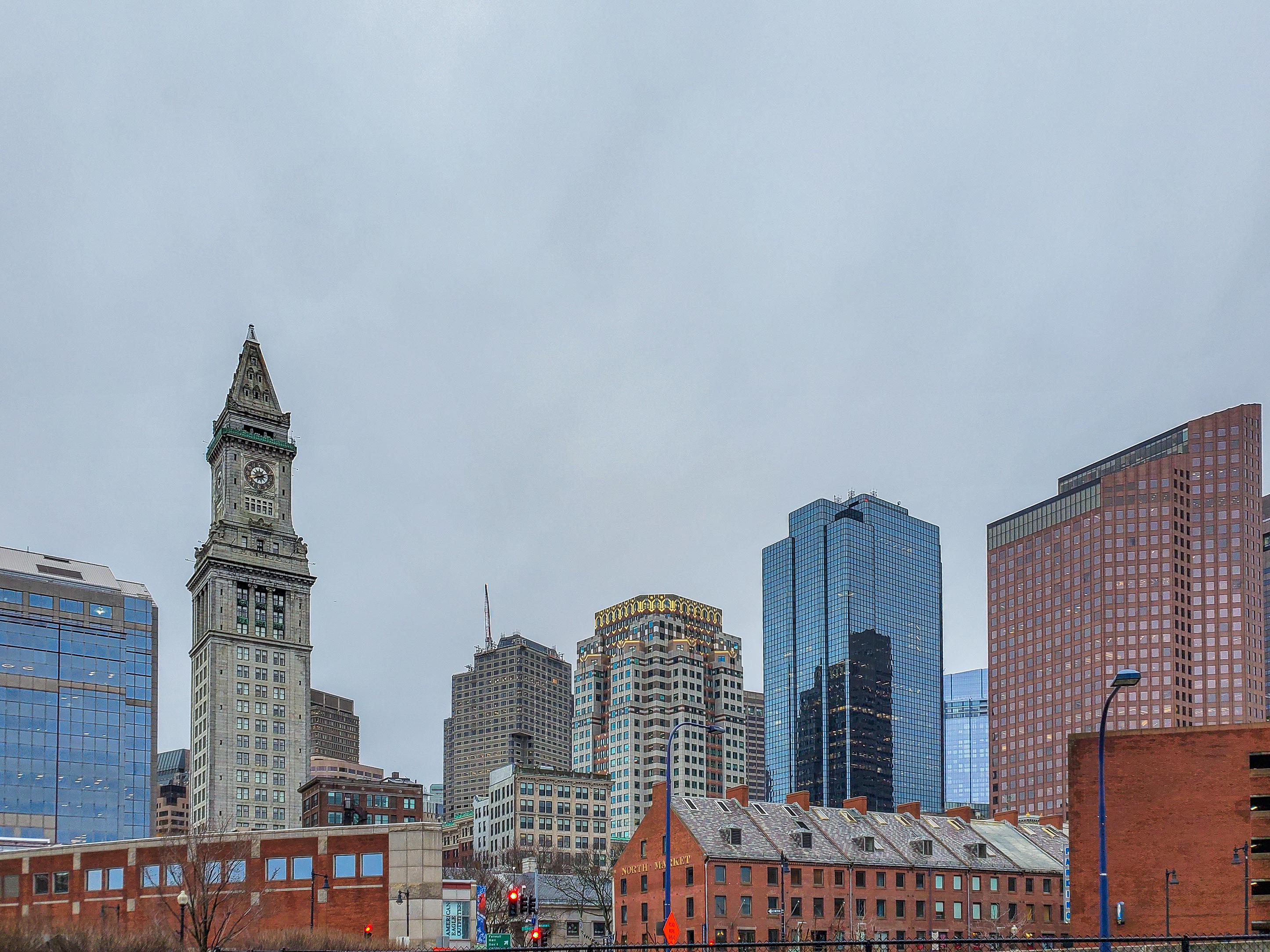 It's gon' rain! Ollie r/boston