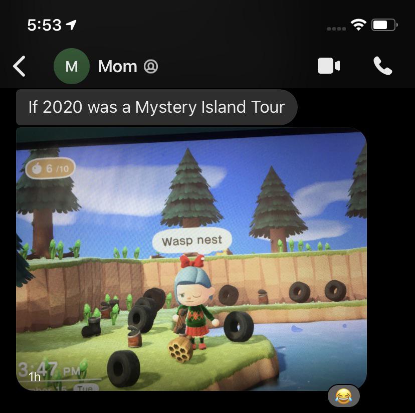 I got my mom a Switch Lite and ACNH for Mother’s Day this year... now