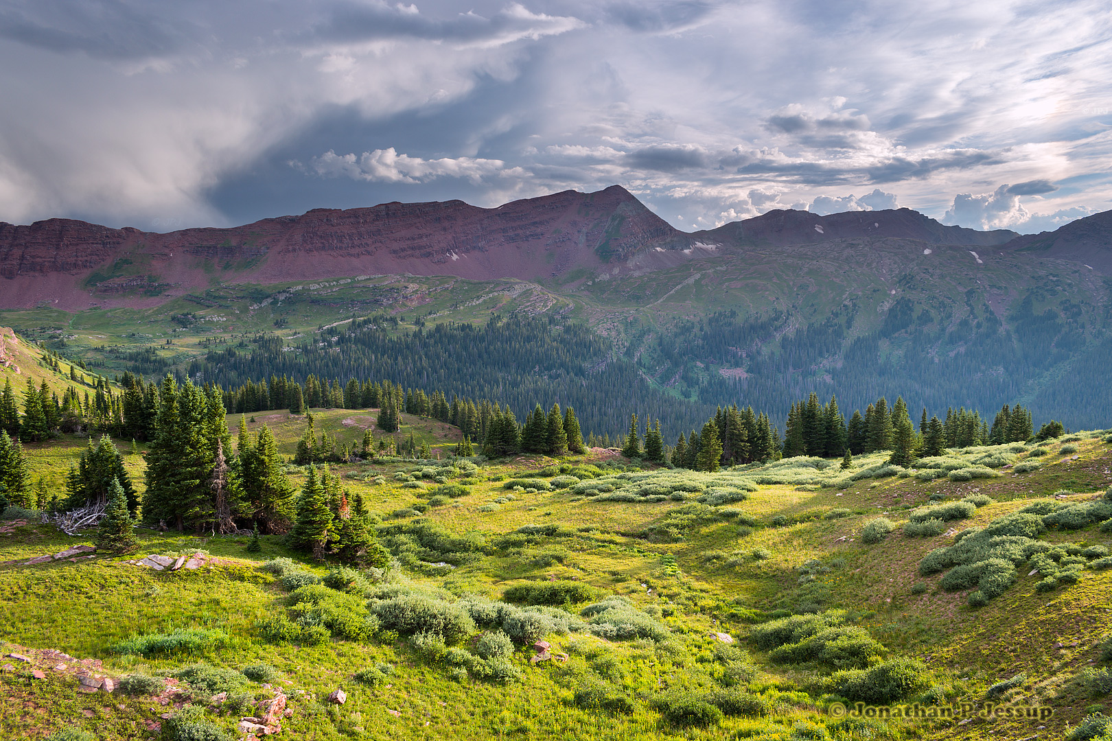 Wild meadow in the Rocky Mountains, USA [OC] [1620x1920] r/EarthPorn