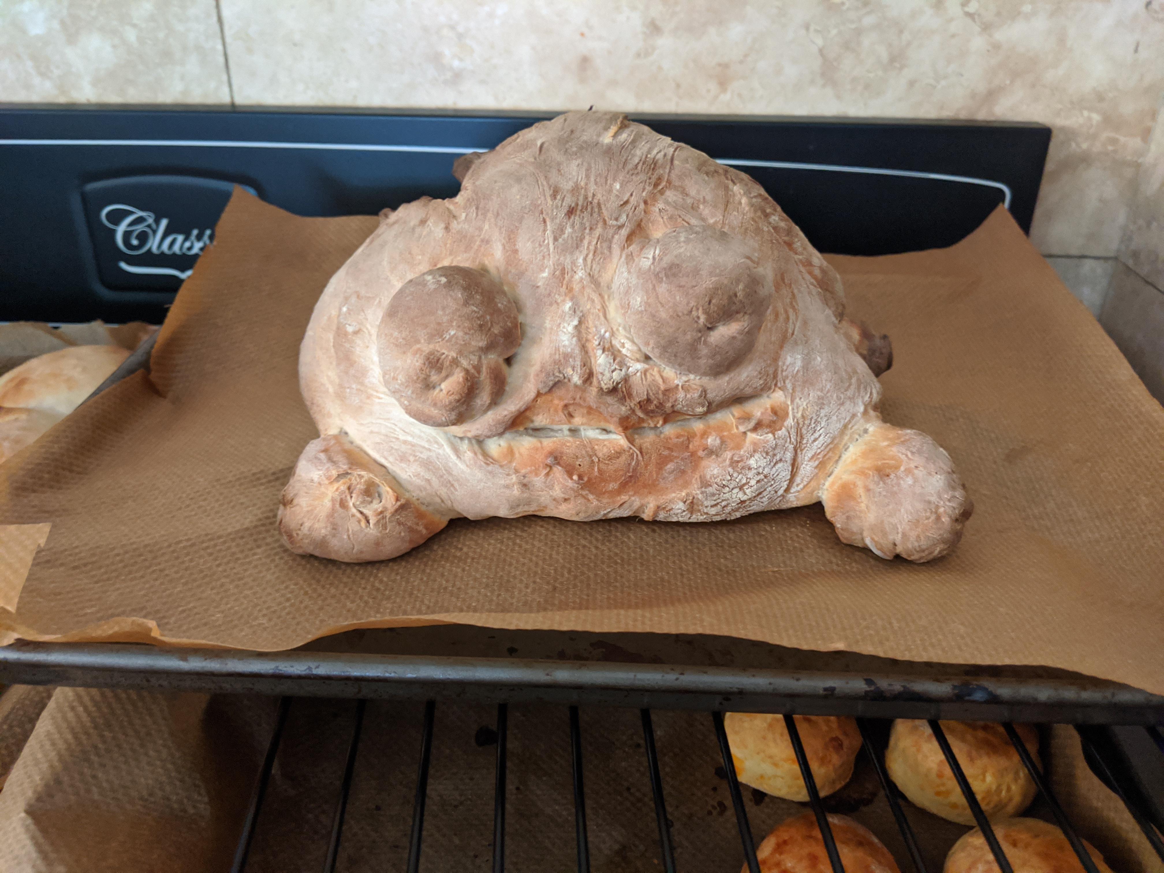 I tried baking frog bread and failed horribly. Meet Jerry. r/frogs