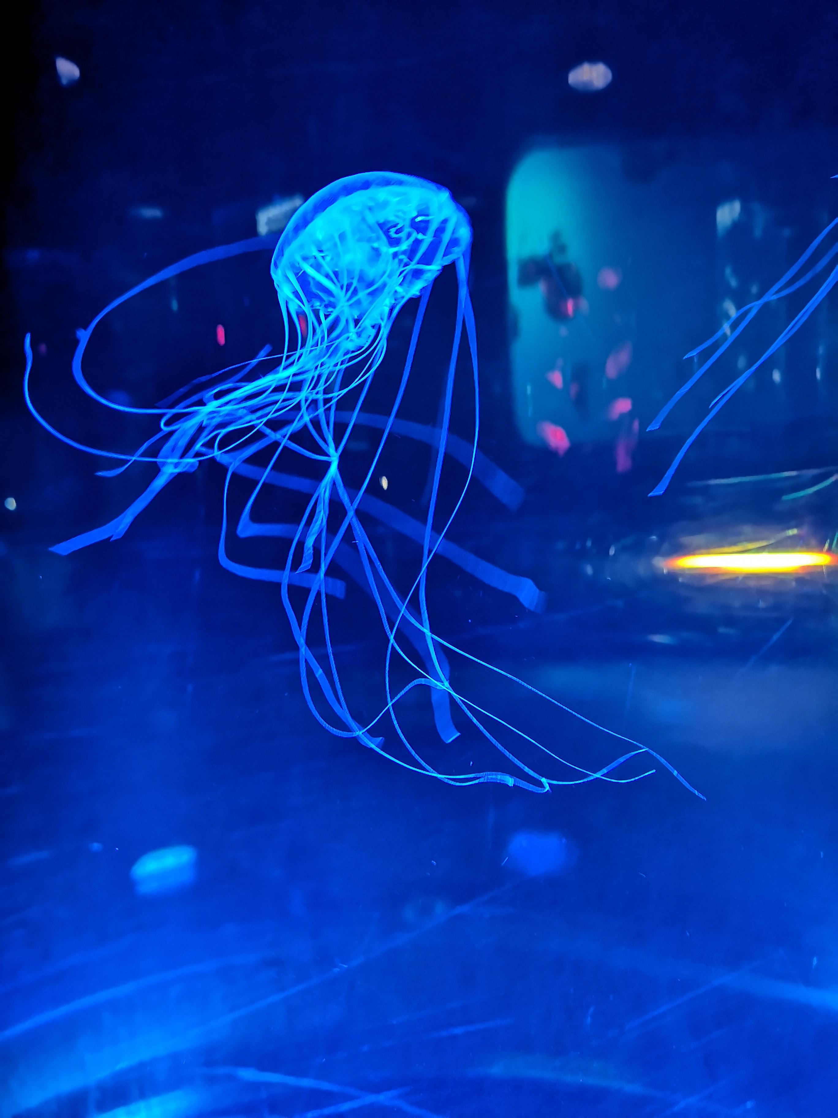 Quebec City Aquarium r/pics