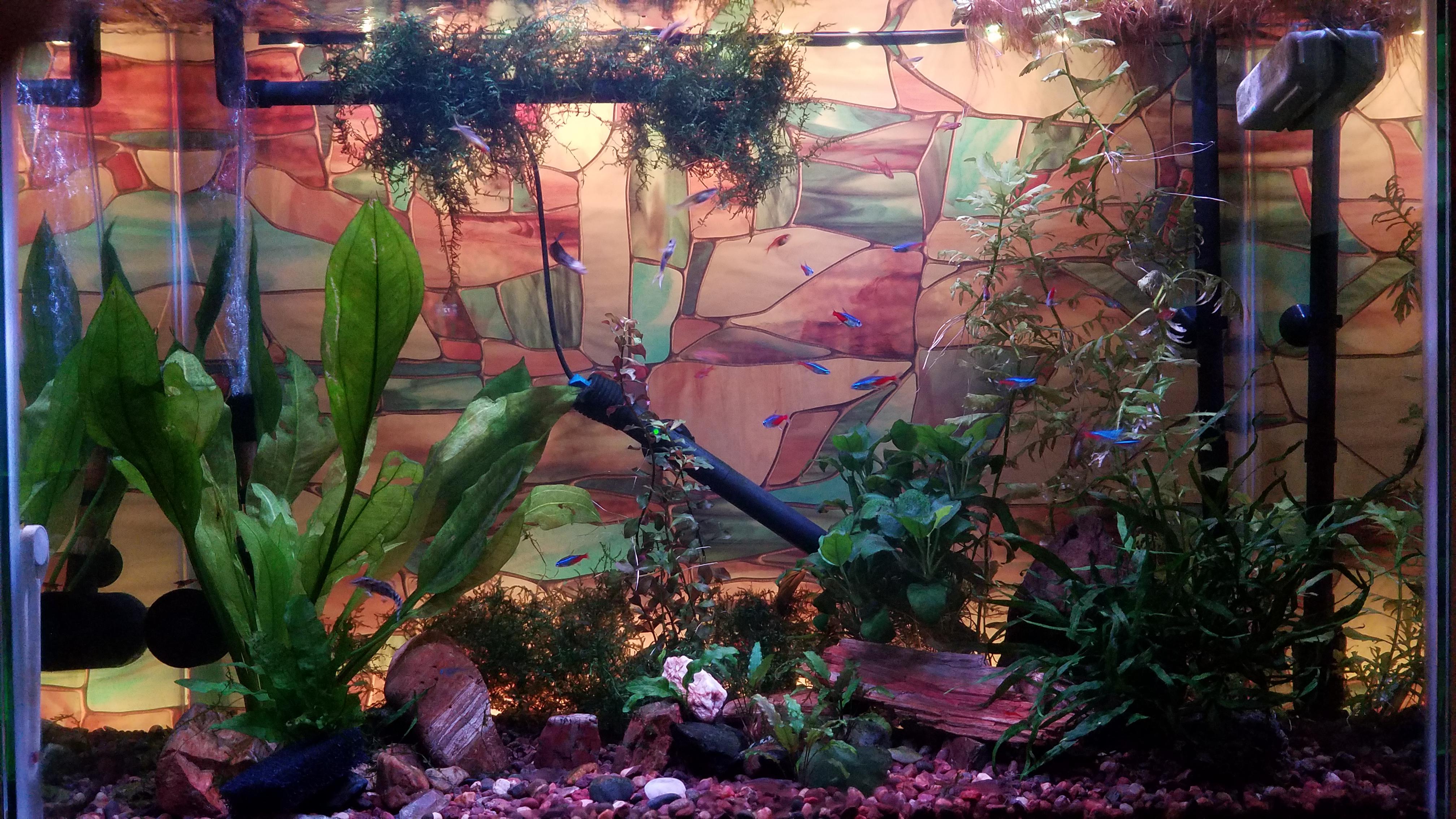 Did some redecorating and added some backlight and privacy film. r