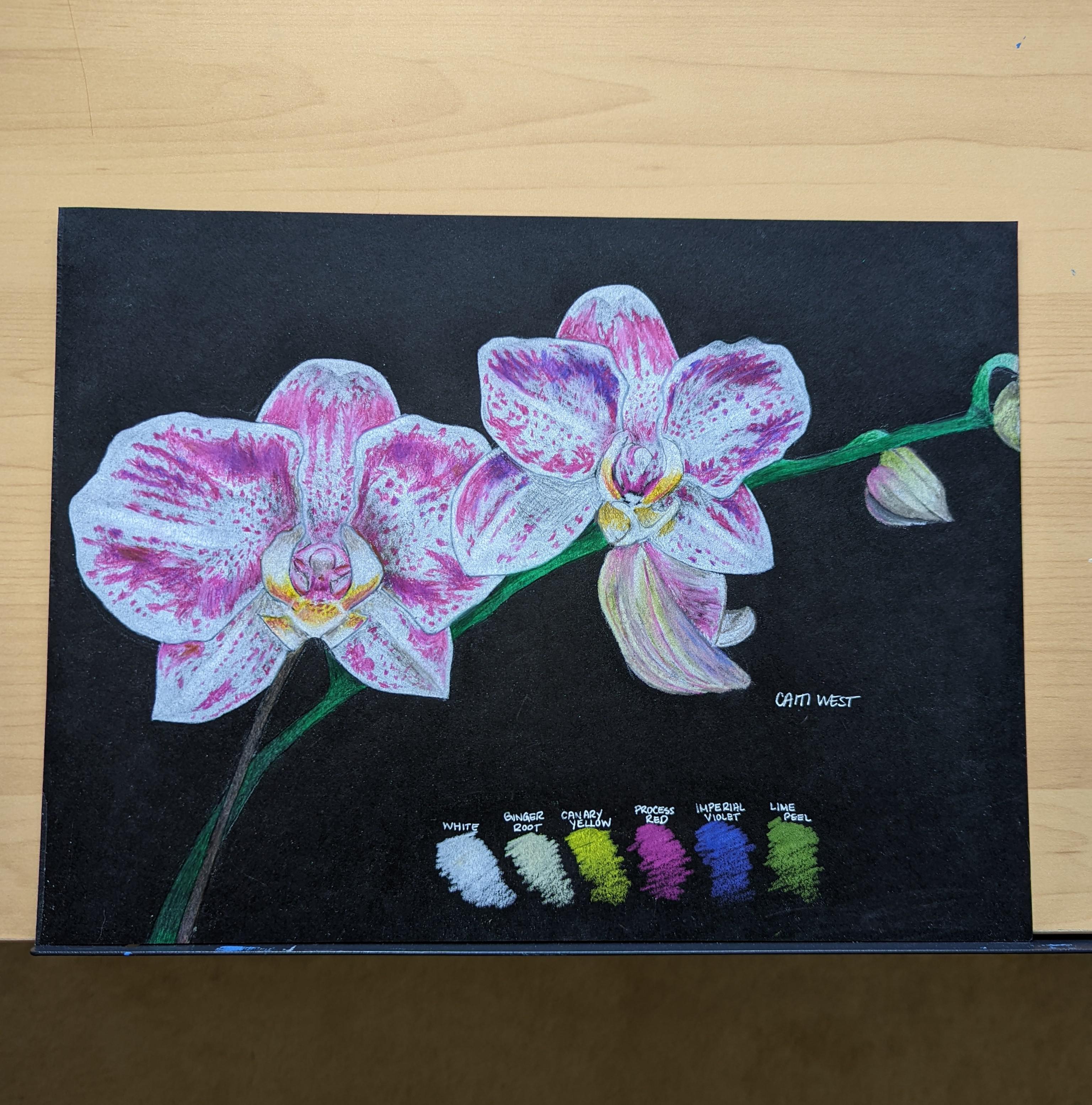 Orchids, me, pencil crayon, 2020 r/Art
