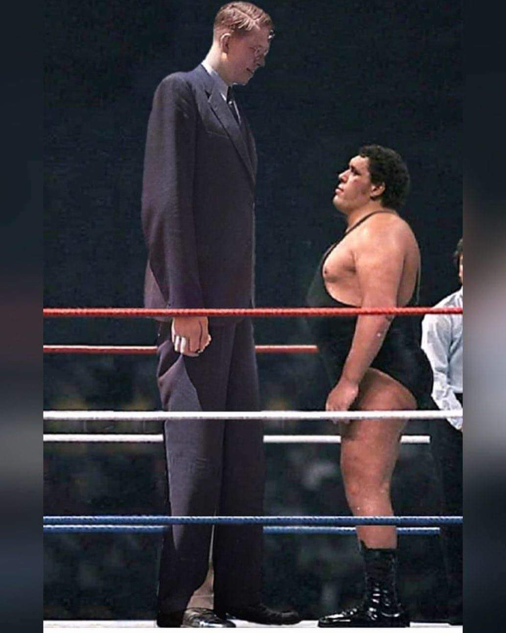A depiction of what Andre The Giant would have looked like standing