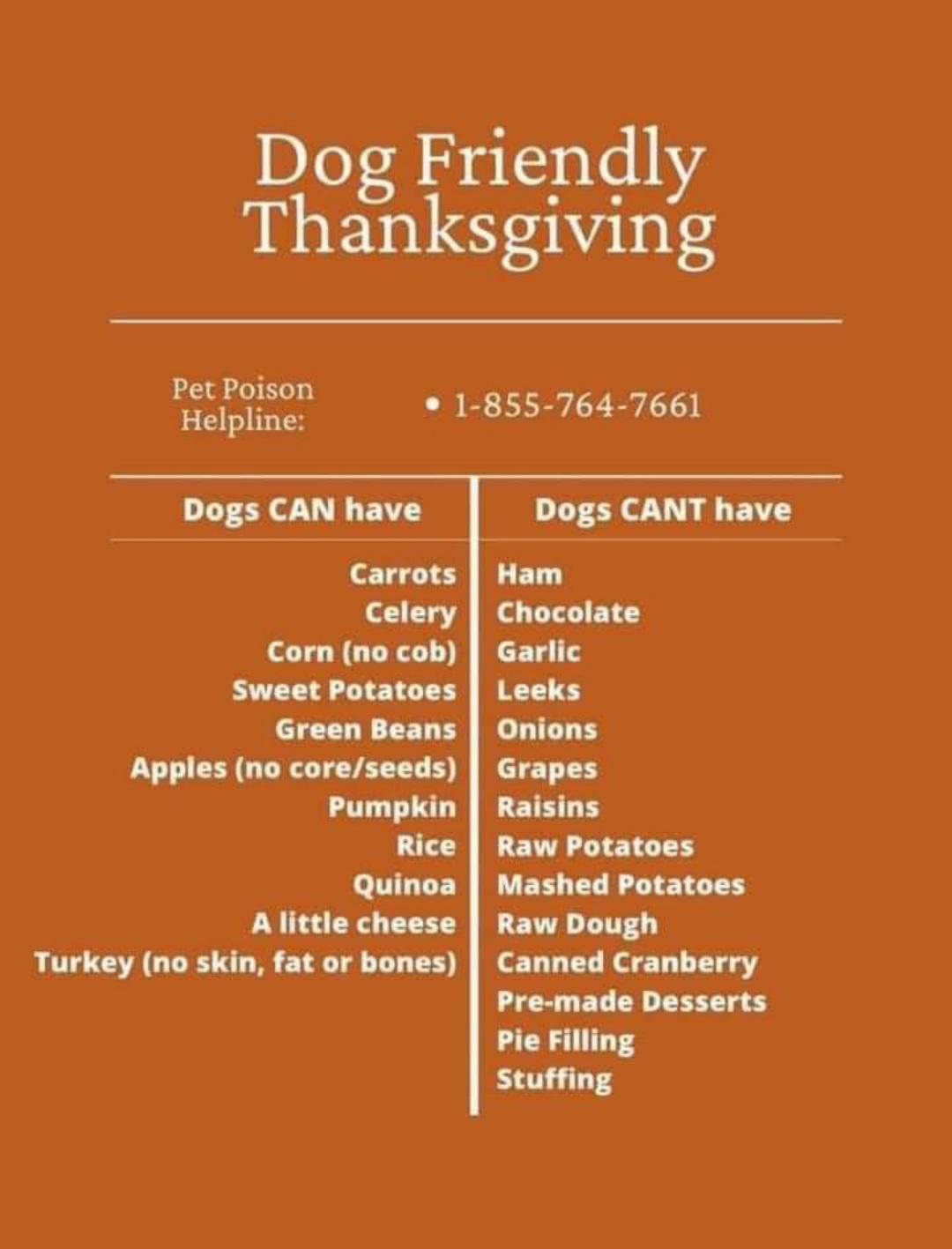 Dog Friendly Thanksgiving r/coolguides