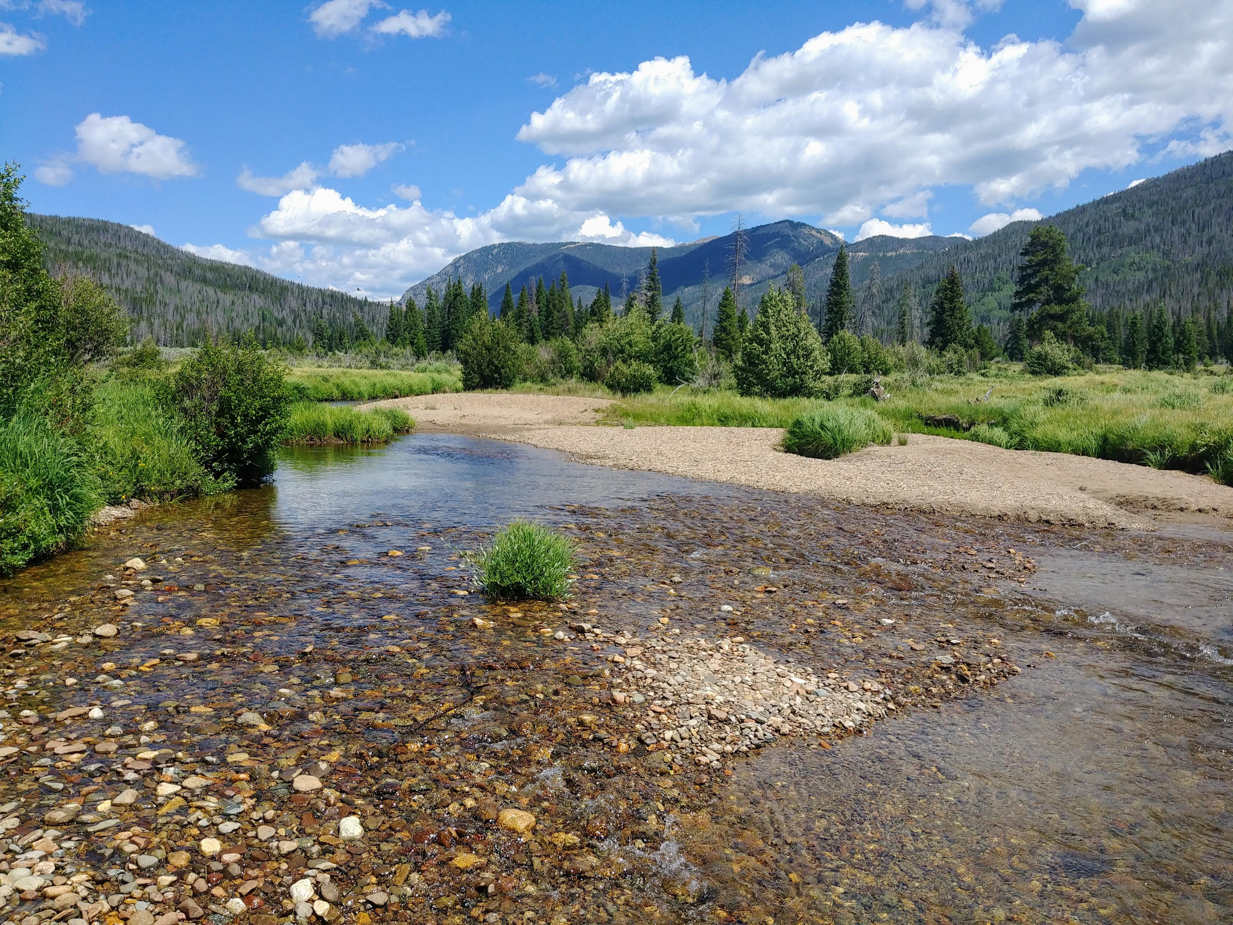 The humble beginnings of the Colorado River, in Rocky Mountain National