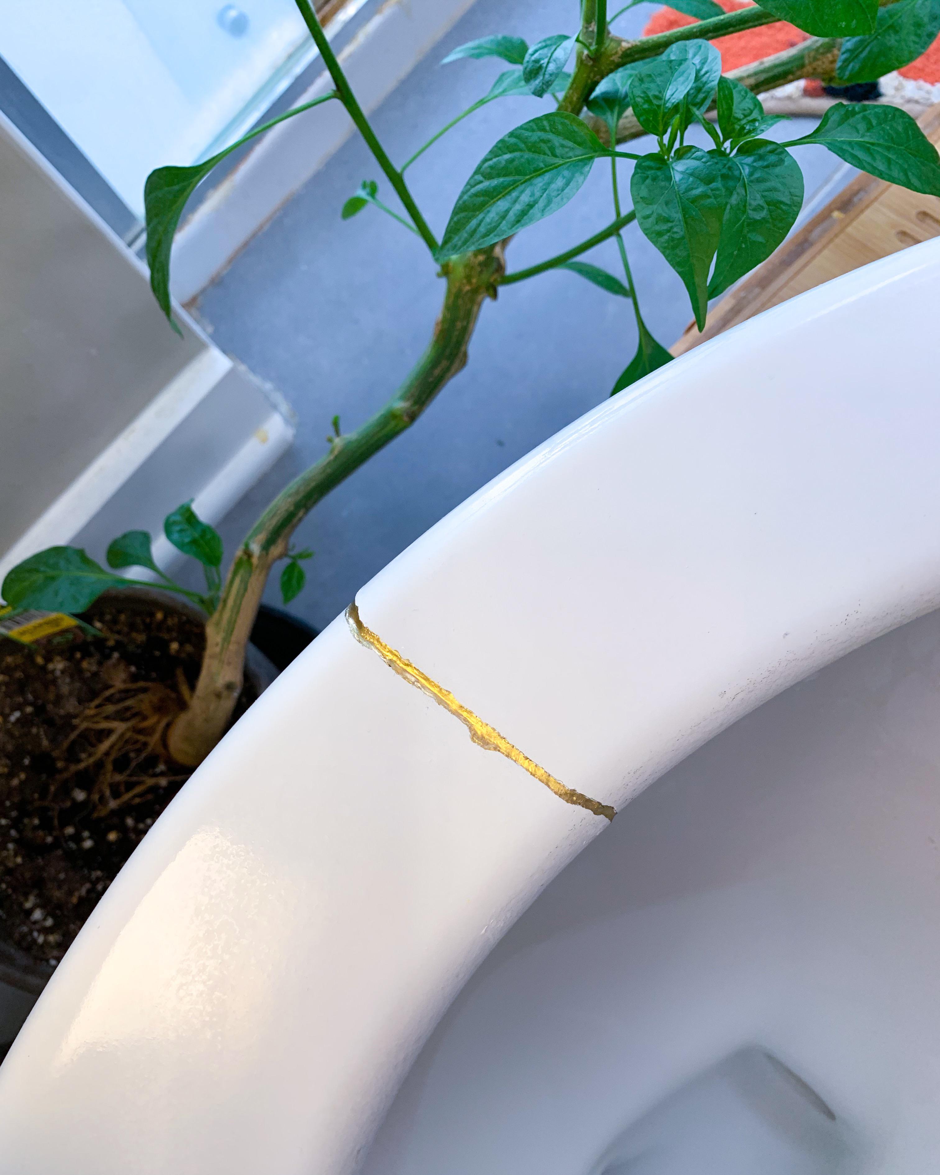 I used the traditional Japanese art of kintsugi to repair my cracked