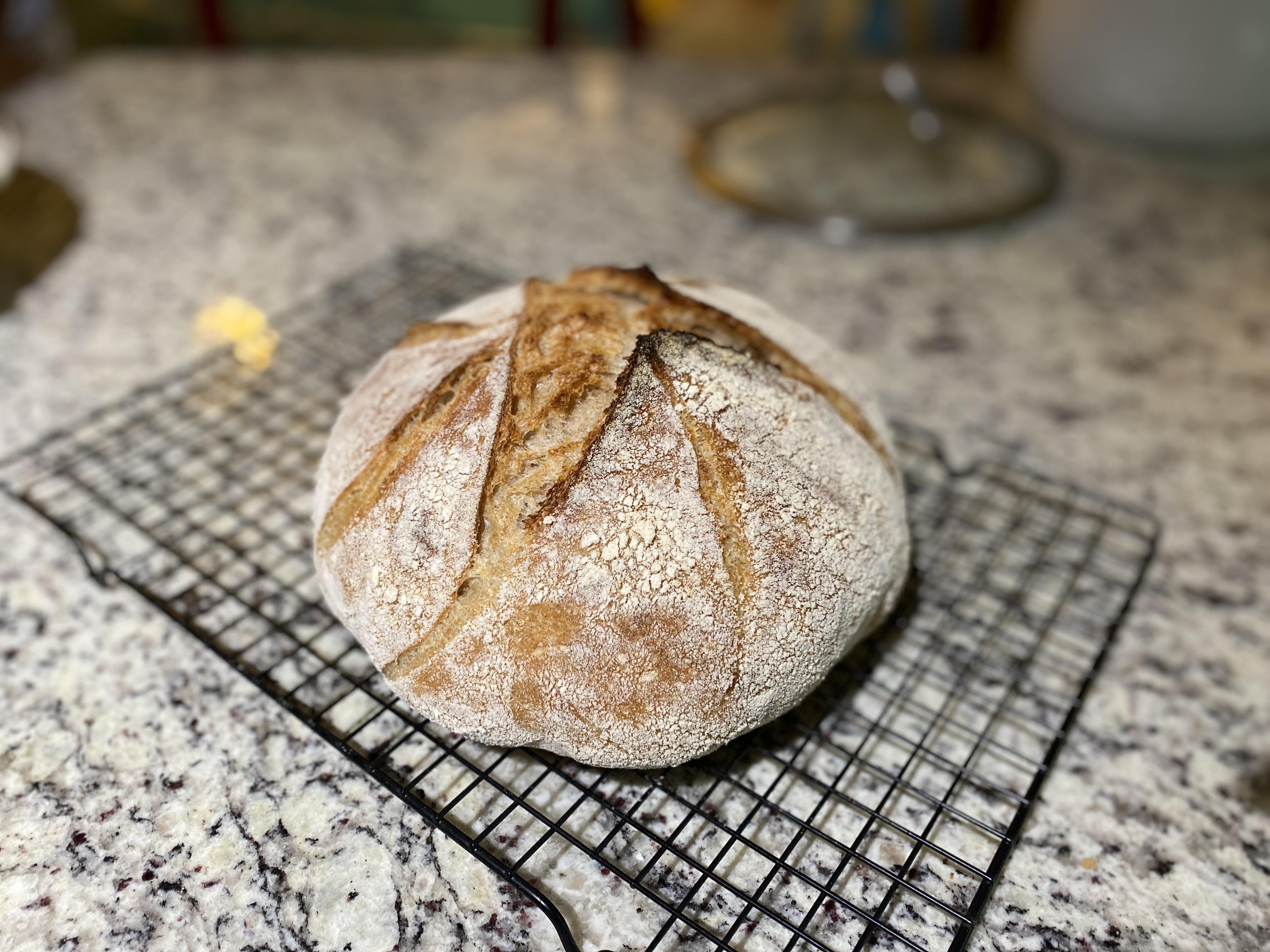 Getting there! (Following The Perfect Loaf’s simple weekday recipe