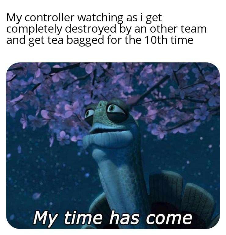 Dip dip potato chip r/memes