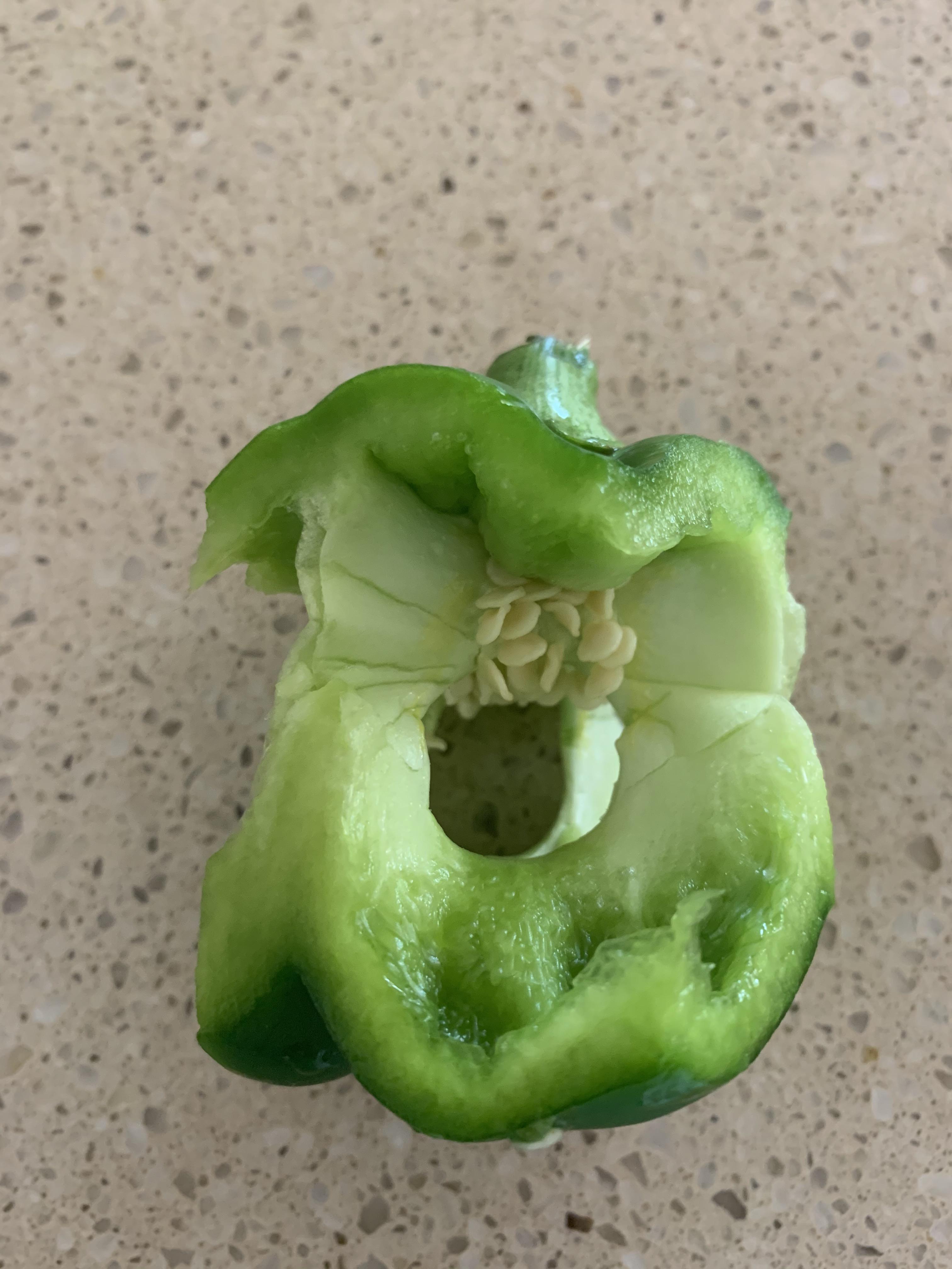 My capsicum does not have anything inside it.. no smo baby.. no bugs