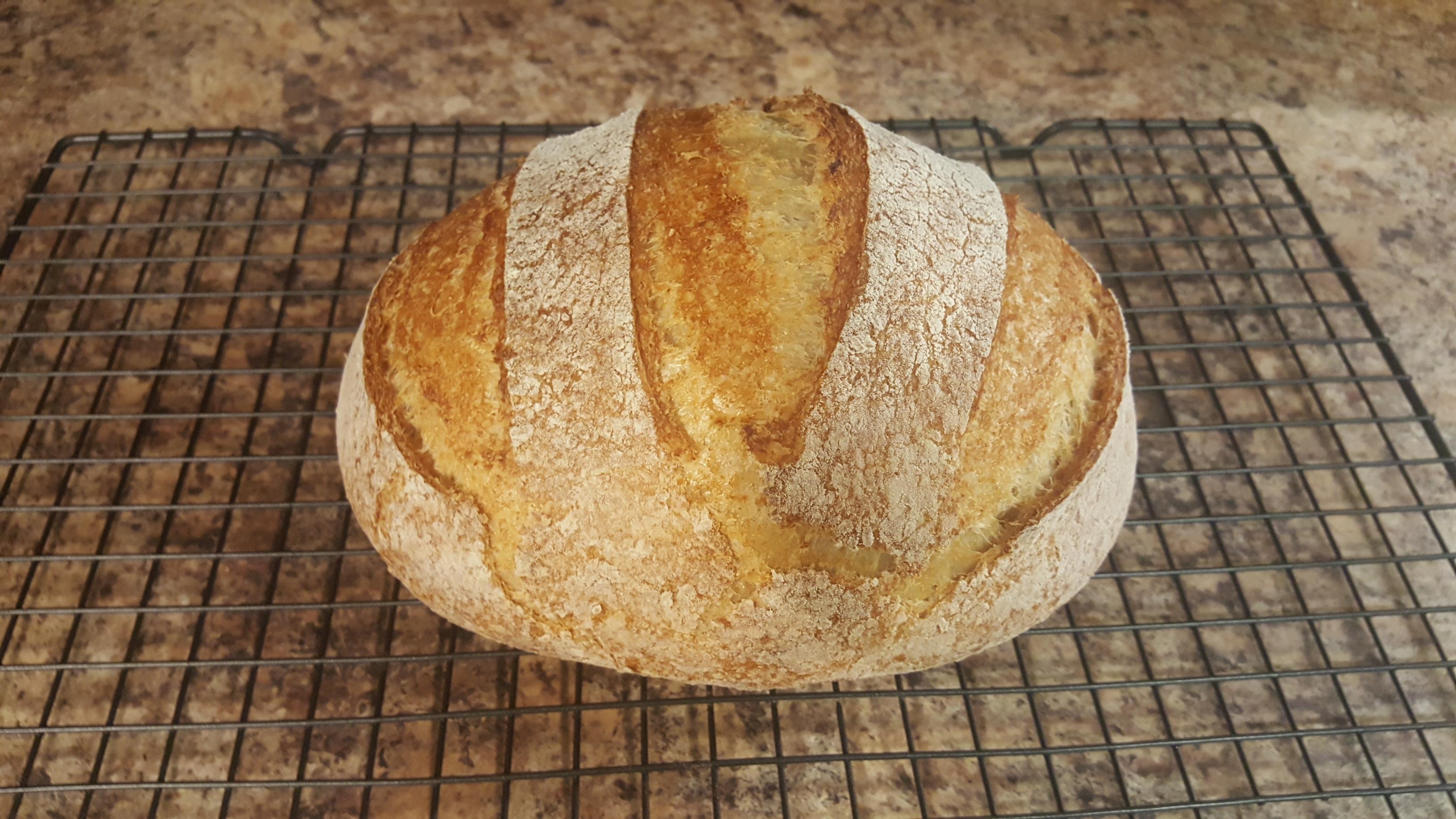 Sourdough. half bread flour, half whole wheat (milled at home) amazed