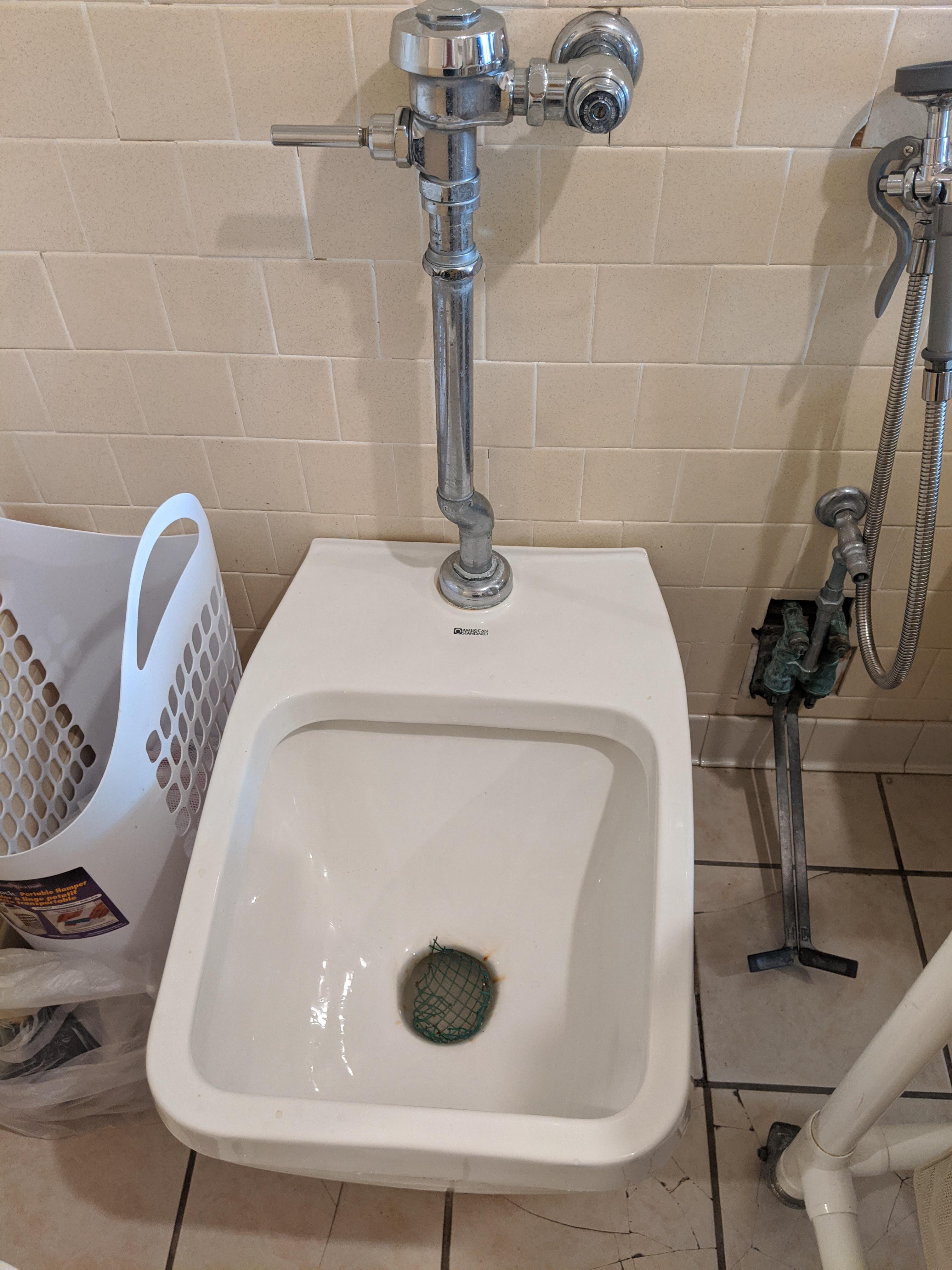 This device in a nursing home that appears to be halfway between a sink