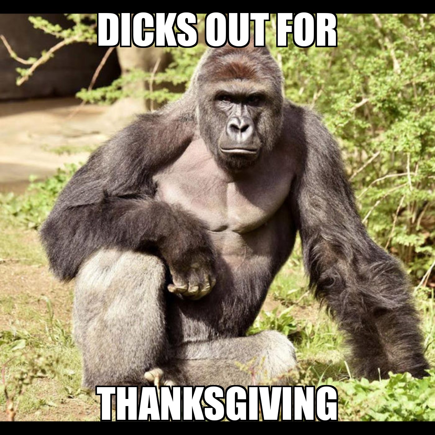 Put it in the gravy boat r/memes