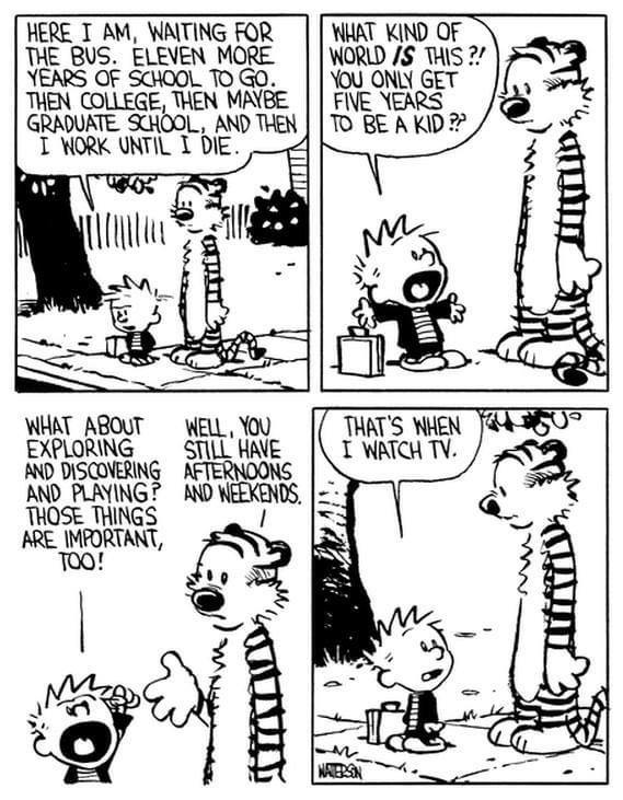 Gotta protect the tv time r/calvinandhobbes