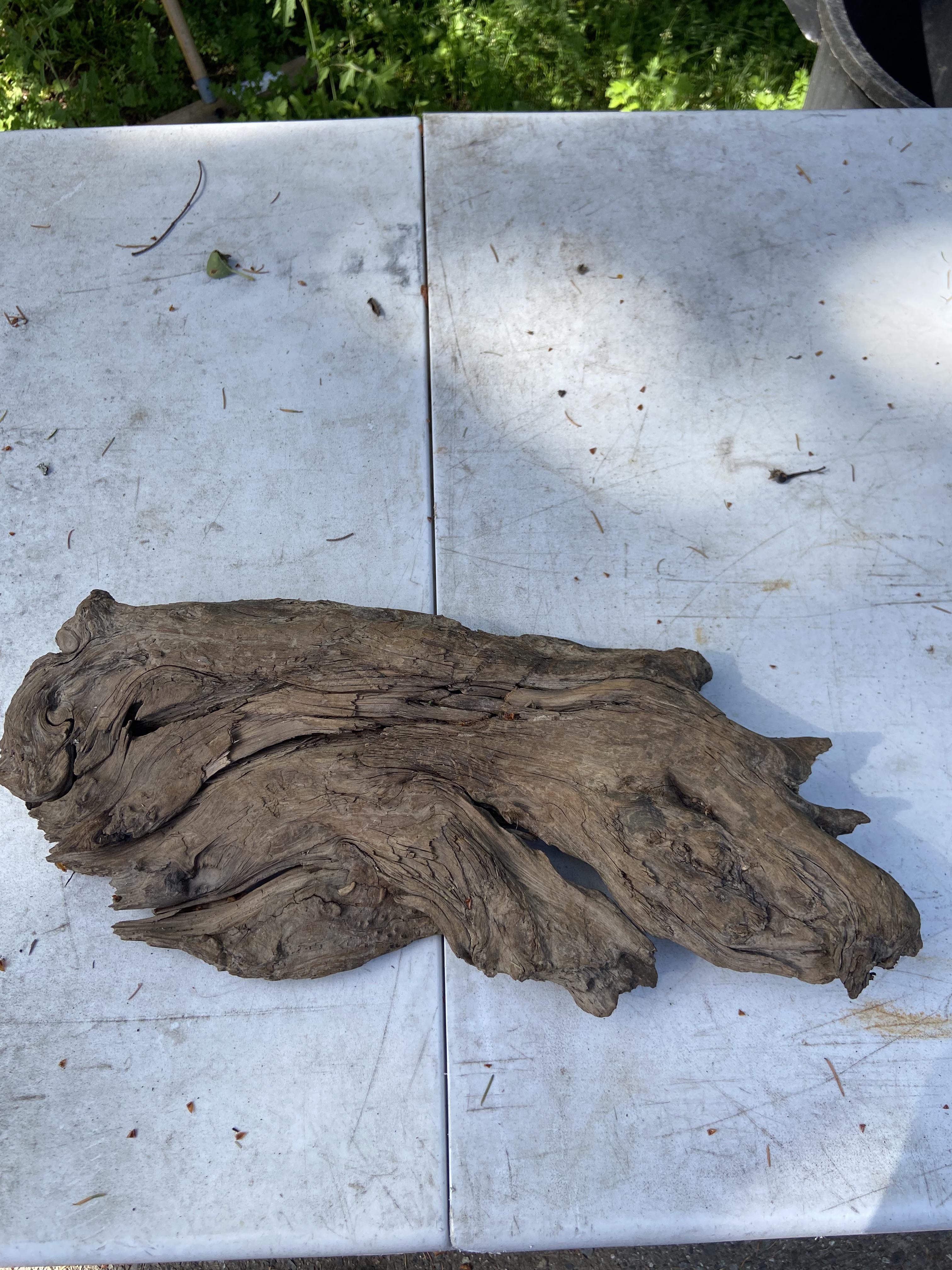 Found this piece of drift wood outside, what’s the best way to ensure