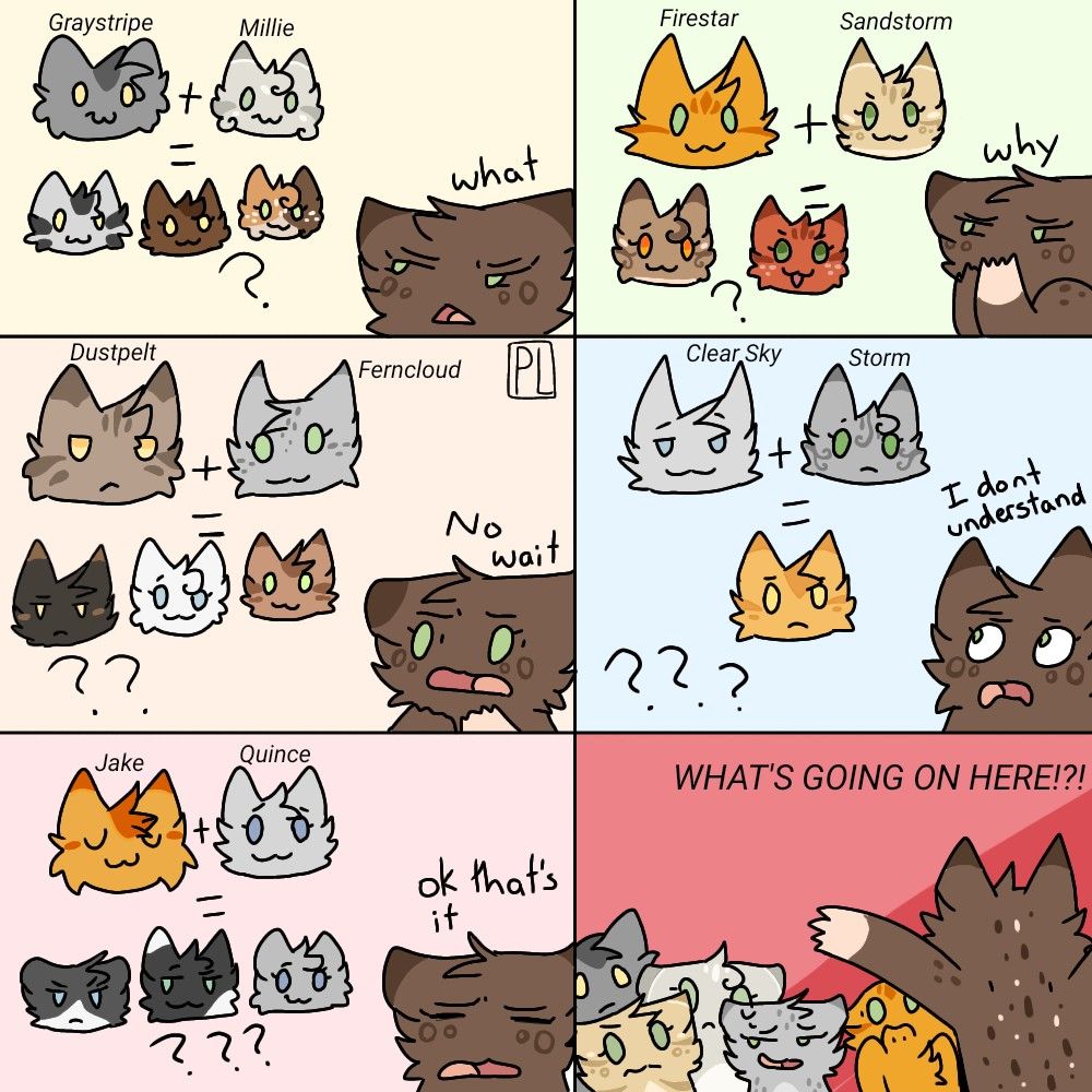 I dont know if this has already been posted but I wanted to share it r/WarriorCats