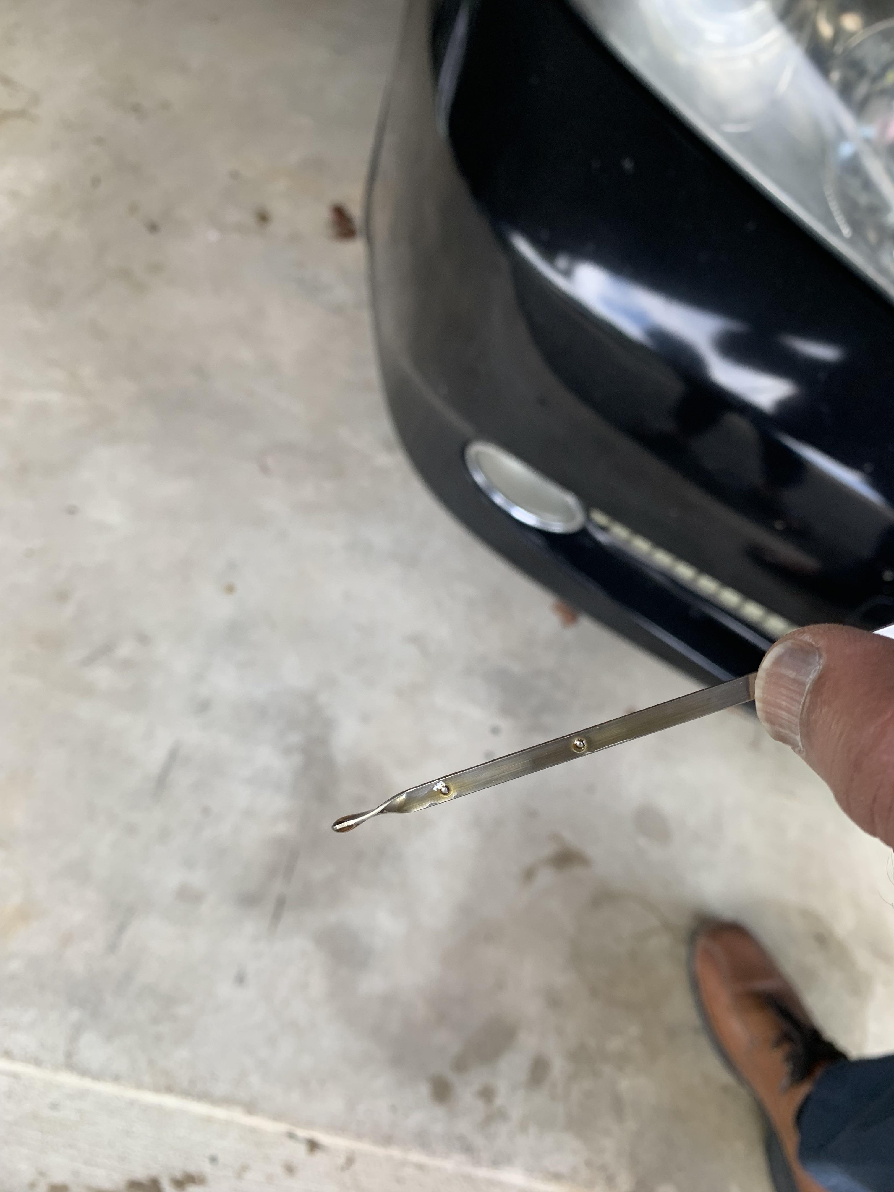 Checked the dipstick after self oil change and it’s way overfilled r