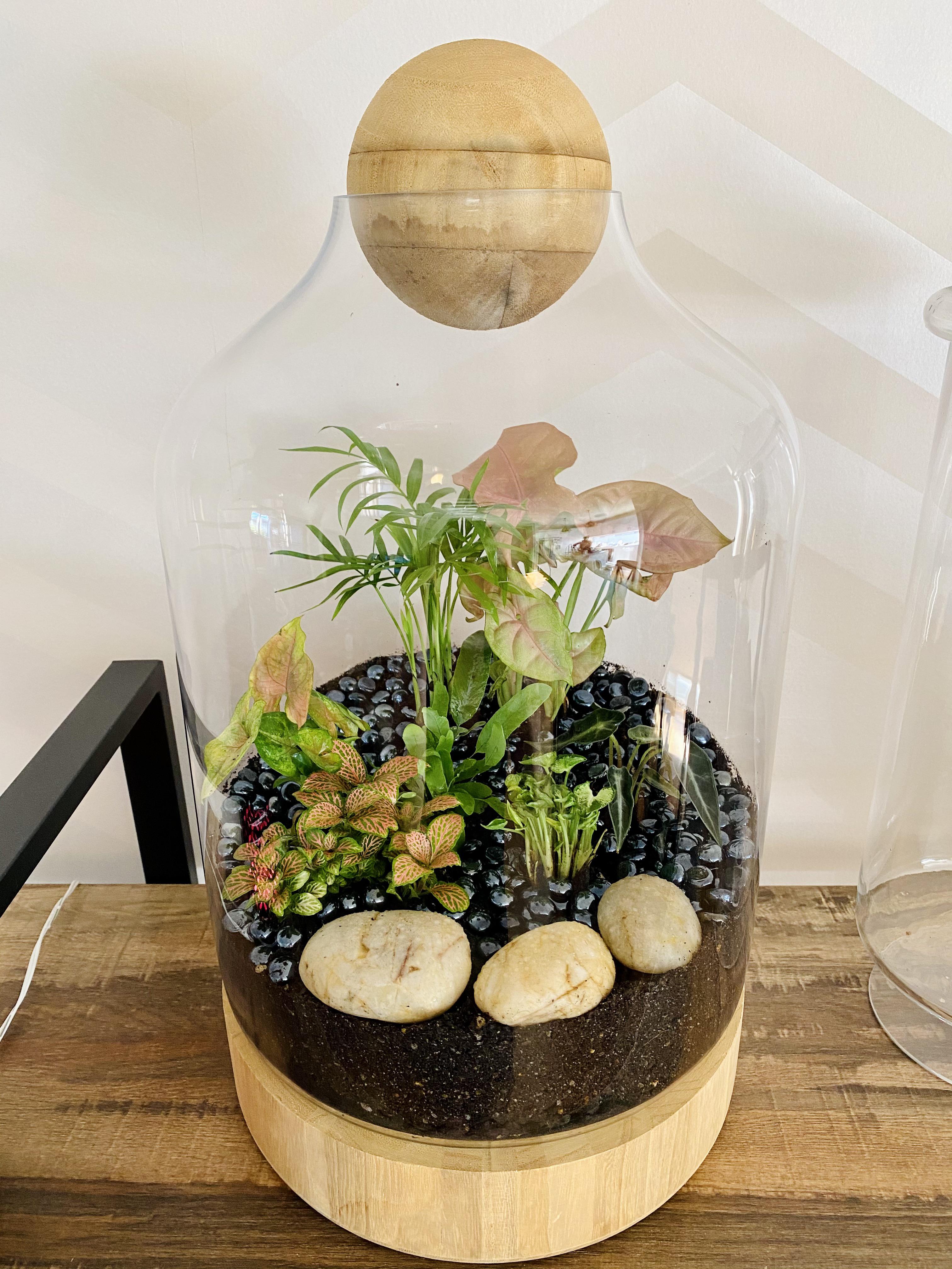 Finally got around to creating this terrarium! r/terrariums
