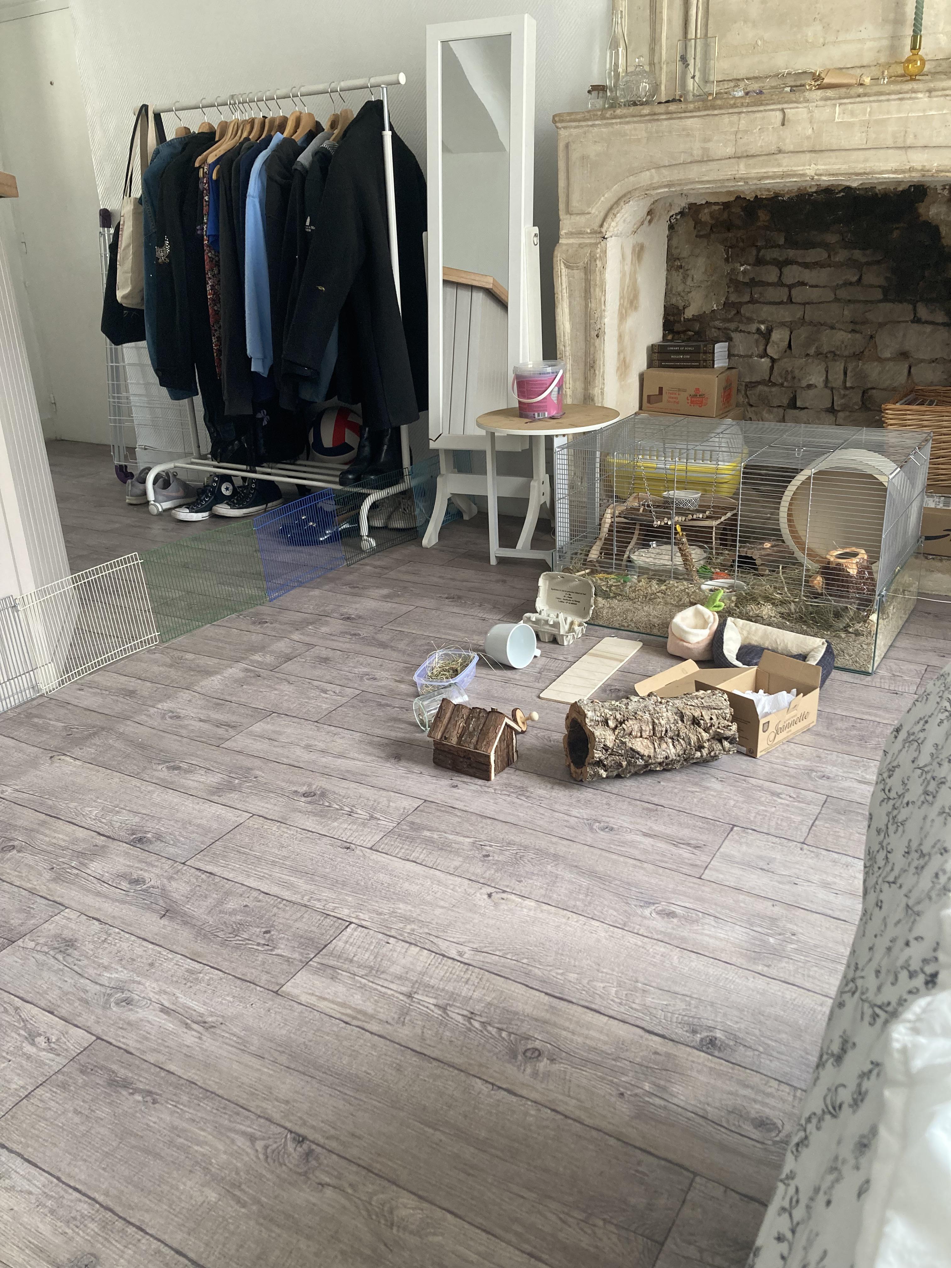 Yesterday I let my hamster free roam in my room (under extra