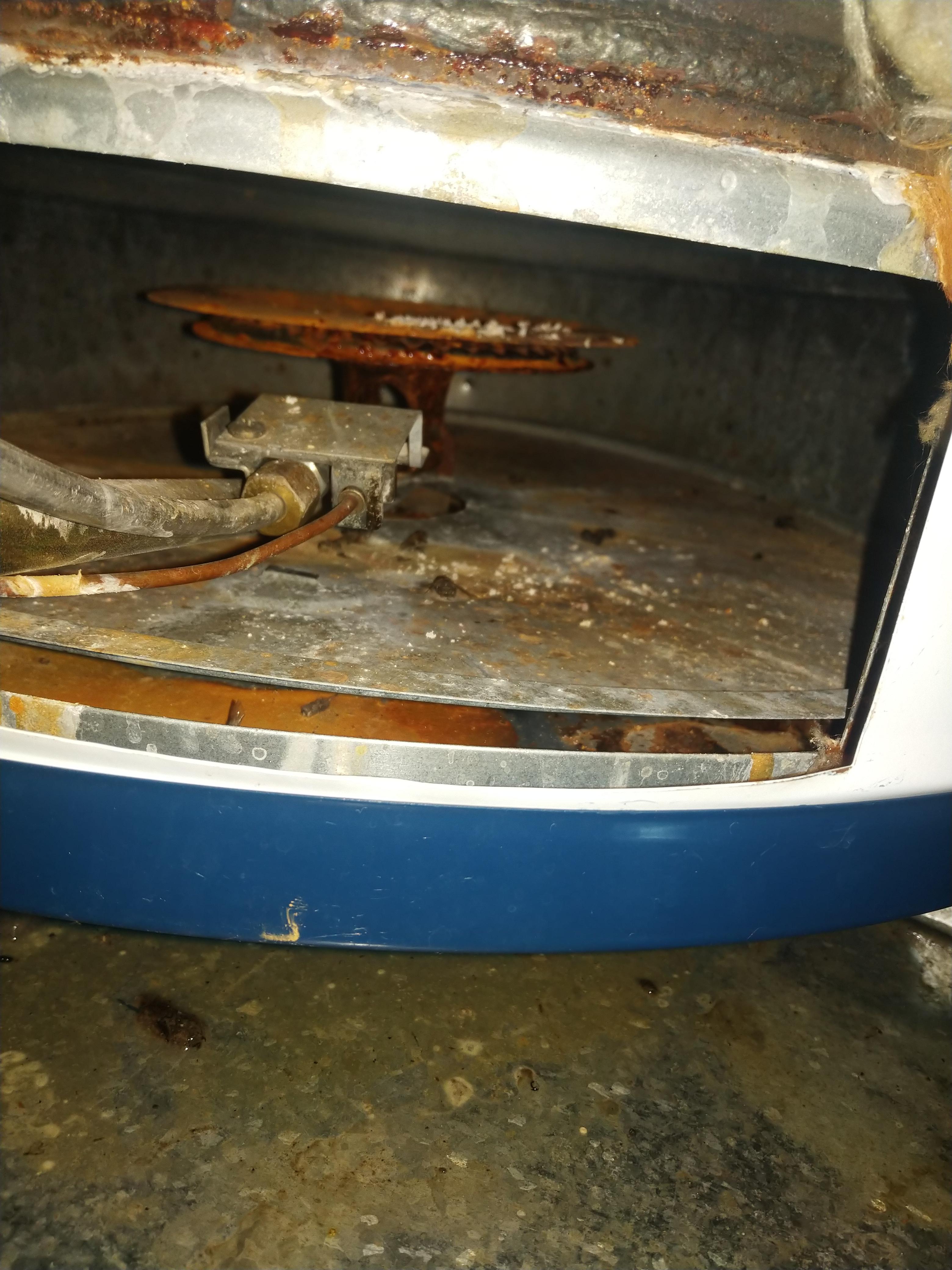 Boiler/Water heater stopped working. Had some water in the pan. Am I doom? Here's a pic of the