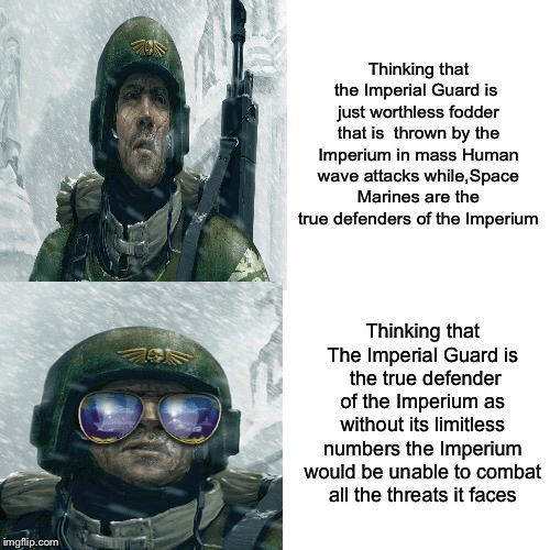 The Imperial Guard is the true defender of the Imperium and this is why