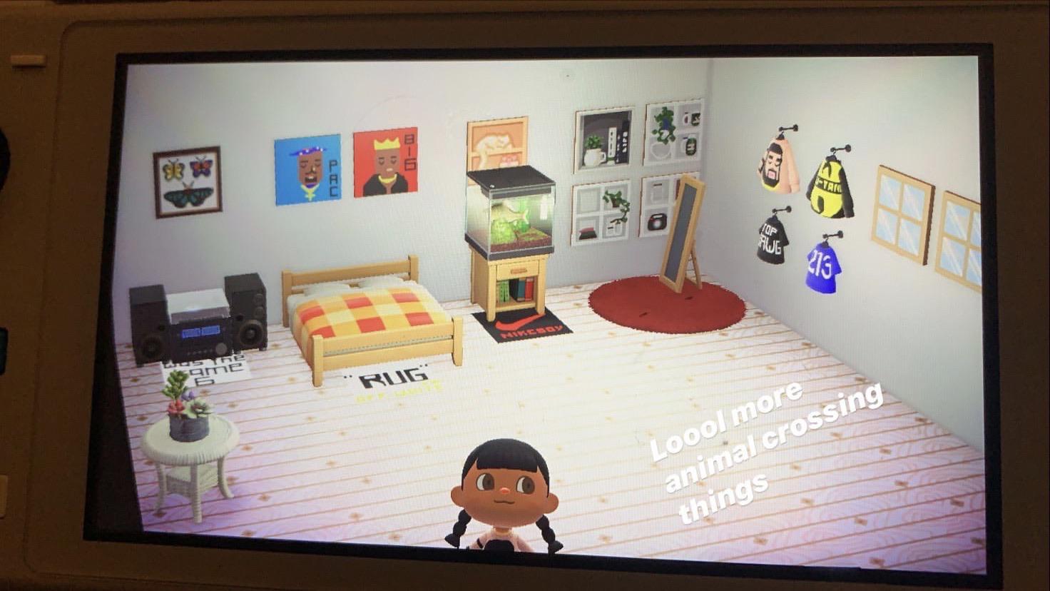 My animal crossing room took me forever r/AnimalCrossing