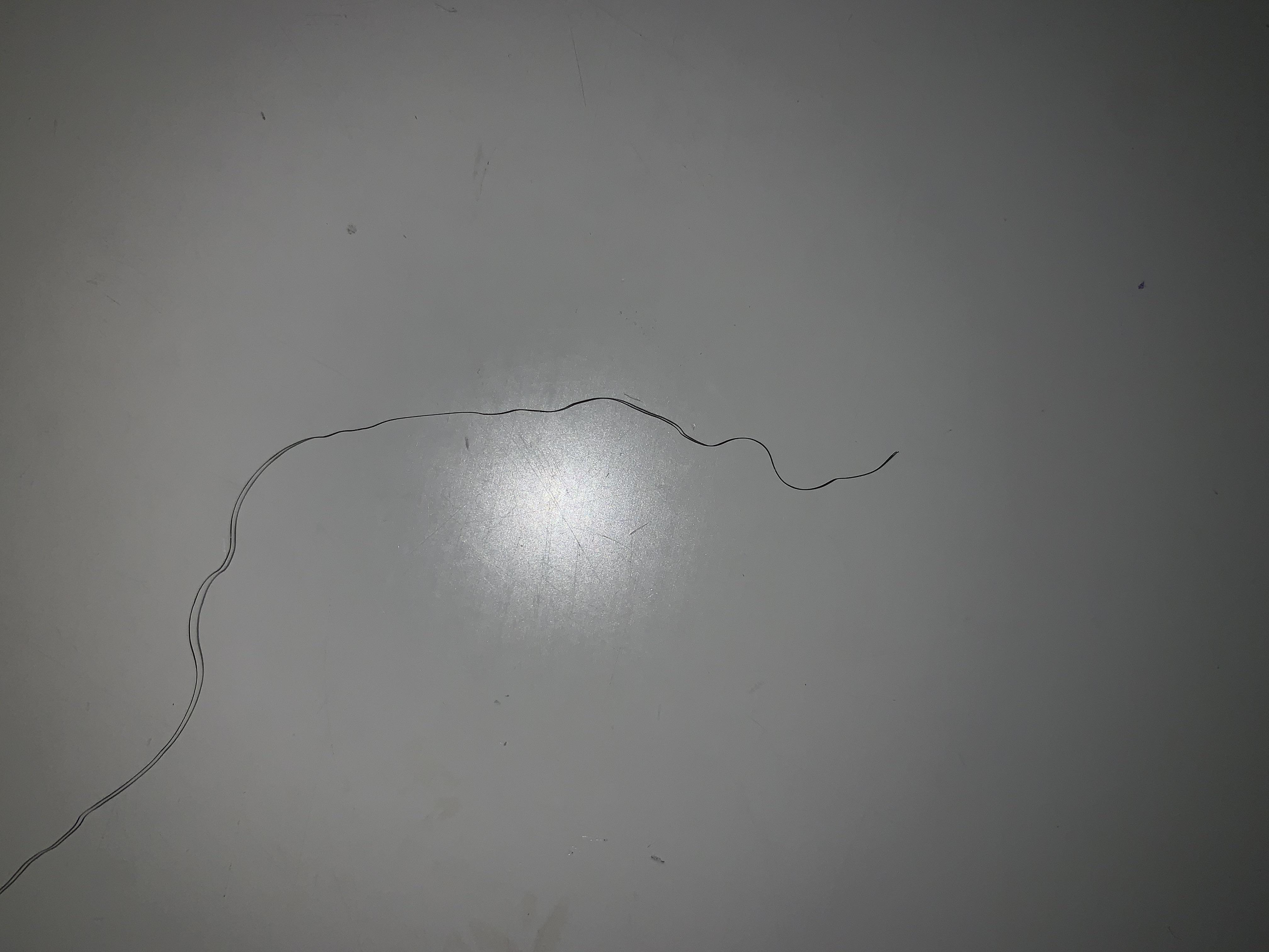 Hair itches after 1 day of washing my hair HaircareScience