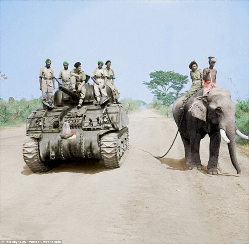 Sherman tank overtaking an elephant in Burma March 1945 r/wwiipics
