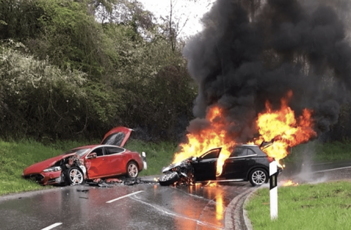 Whenever someone claims Teslas catch on fire easily, show them this pic