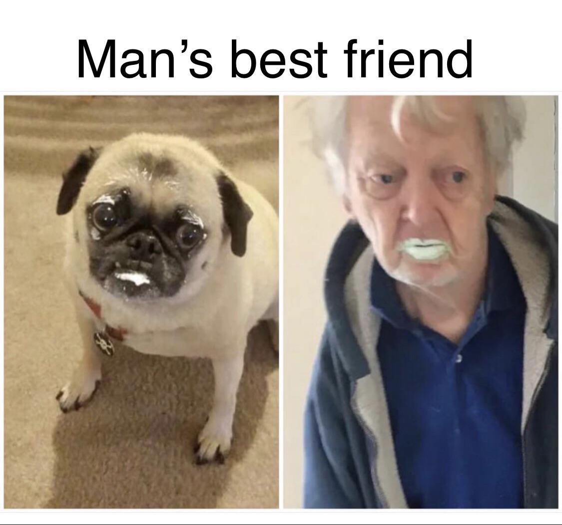 Paint eating grandpa and his best friend r/memes
