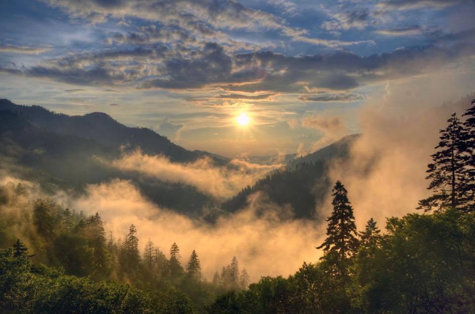 Misty Smoky Mountains of East Tennessee, by David C. Foster r/Tennessee