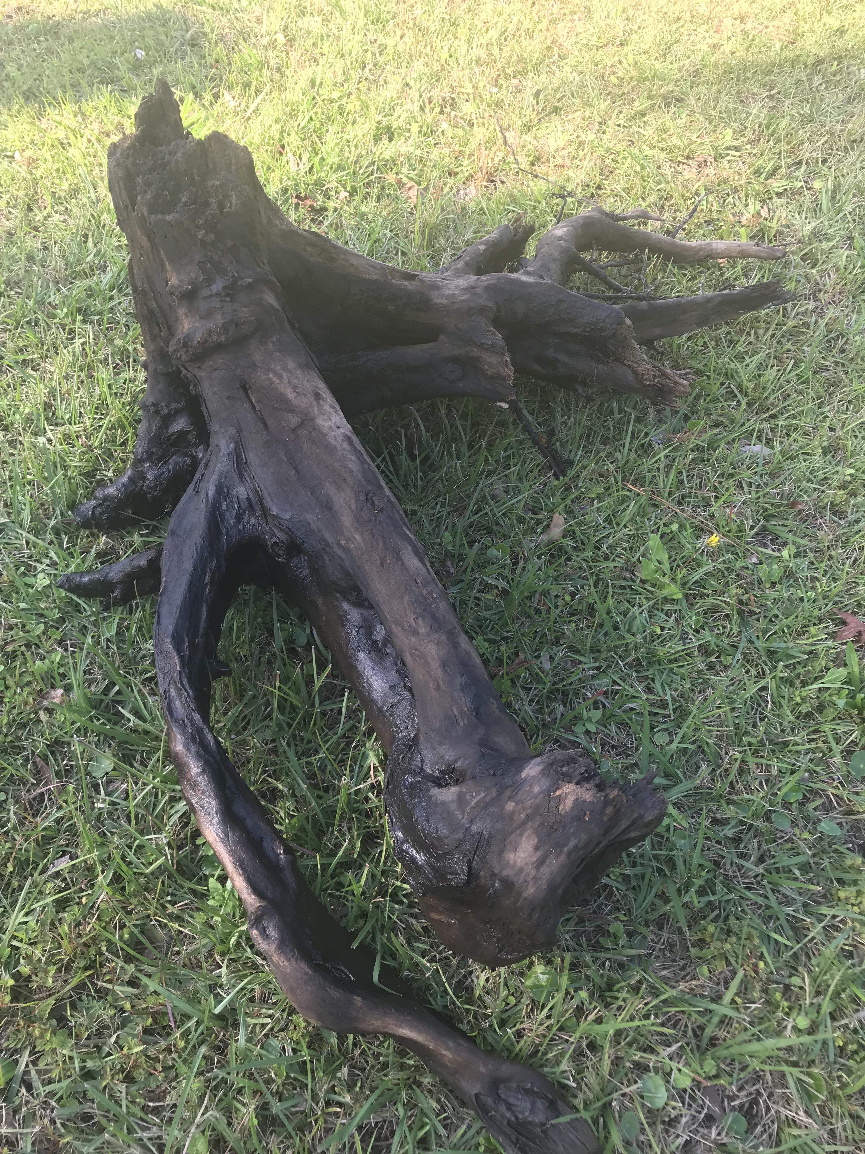 Seriously considering buying a larger tank just to this