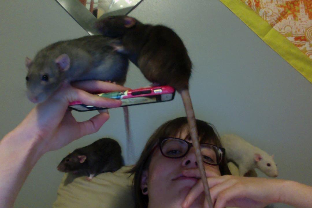 I just wanted to take a selfie. ( RATS