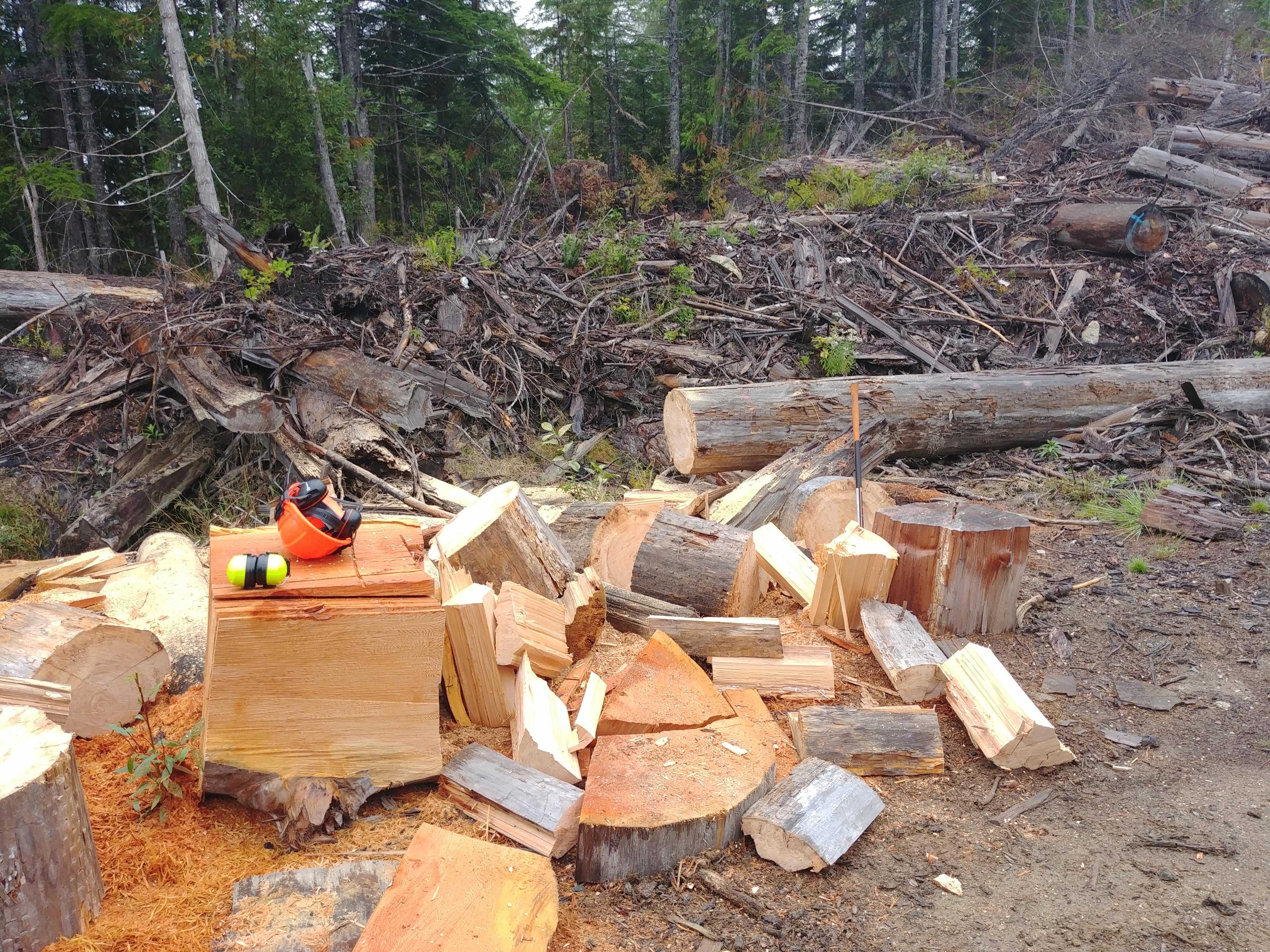 842 best r/firewood images on Pholder Can anyone tell me if this pine